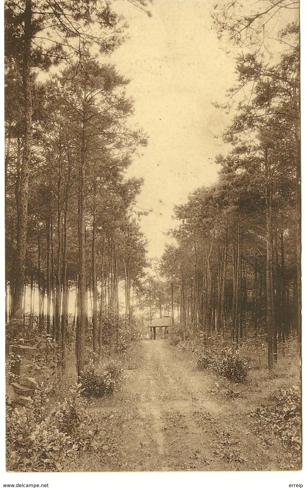 Keerbergen Une Allee Vers La Gloriette Du Bois Fleuri - Keerbergen