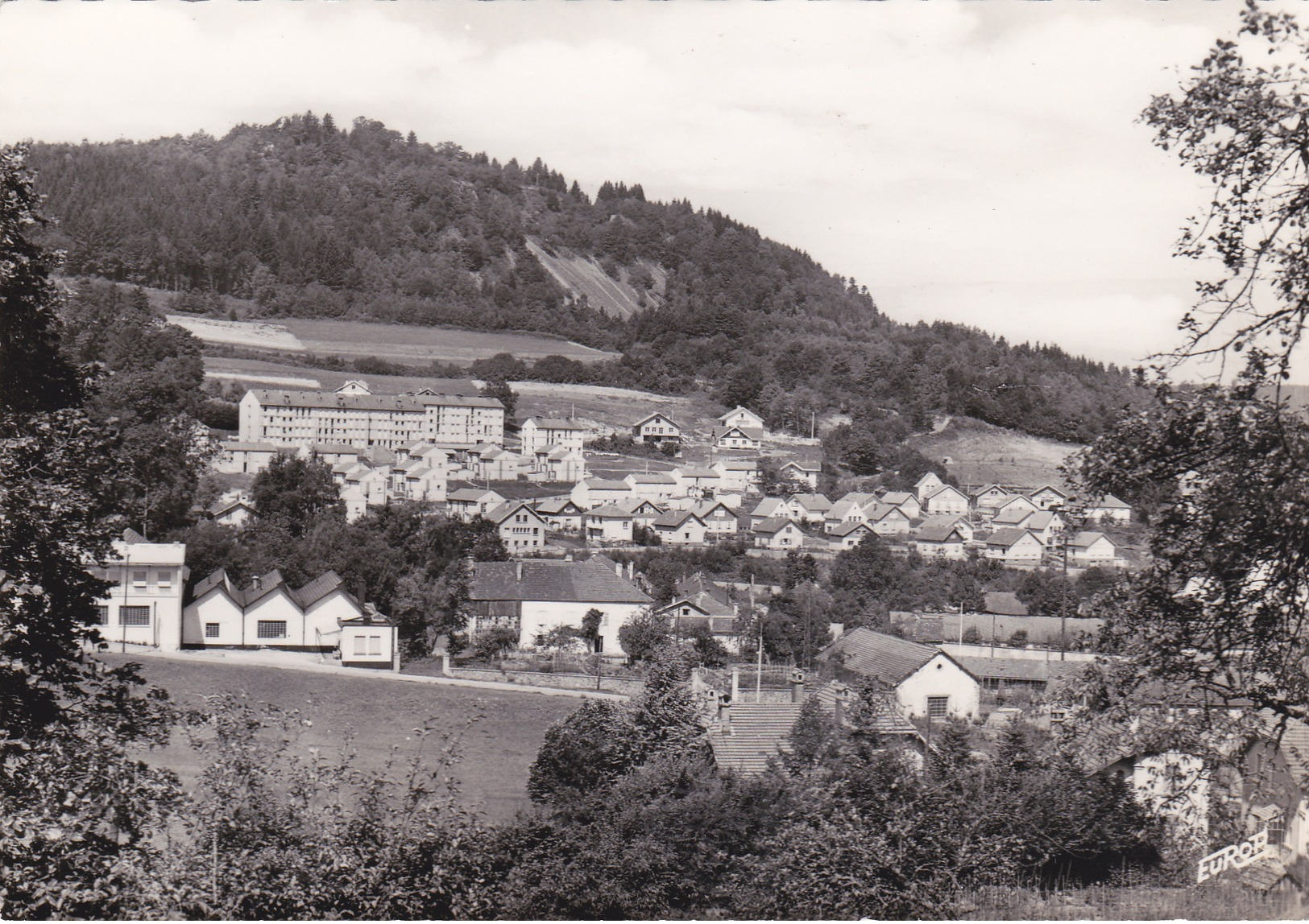 Carte Postale   --- N° 6492  ---- REMIREMONT -  Sapin Le Roy - Provencheres Sur Fave