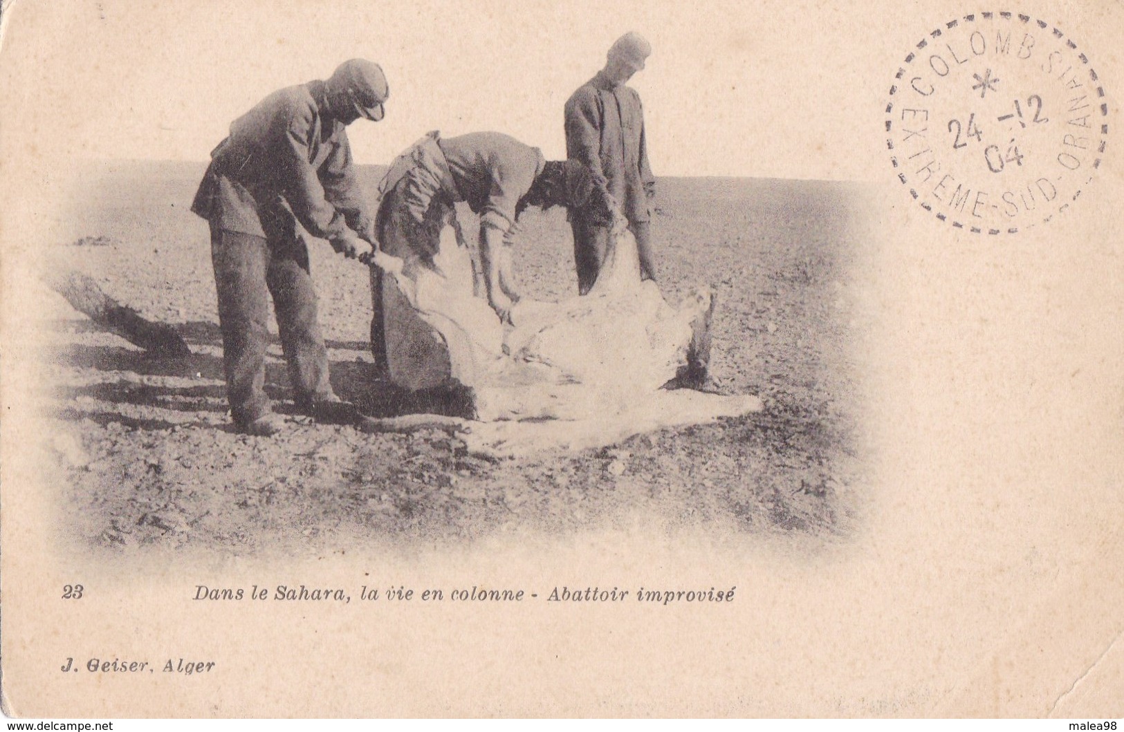 AFRIQUE,,,,DANS Le SAHARA ,,,,LA VIE En COLONNES,,,,ABATTOIR  IMPROVISE,,,,VOYAGE 1904,,,,beau Cachet,,, - Western Sahara