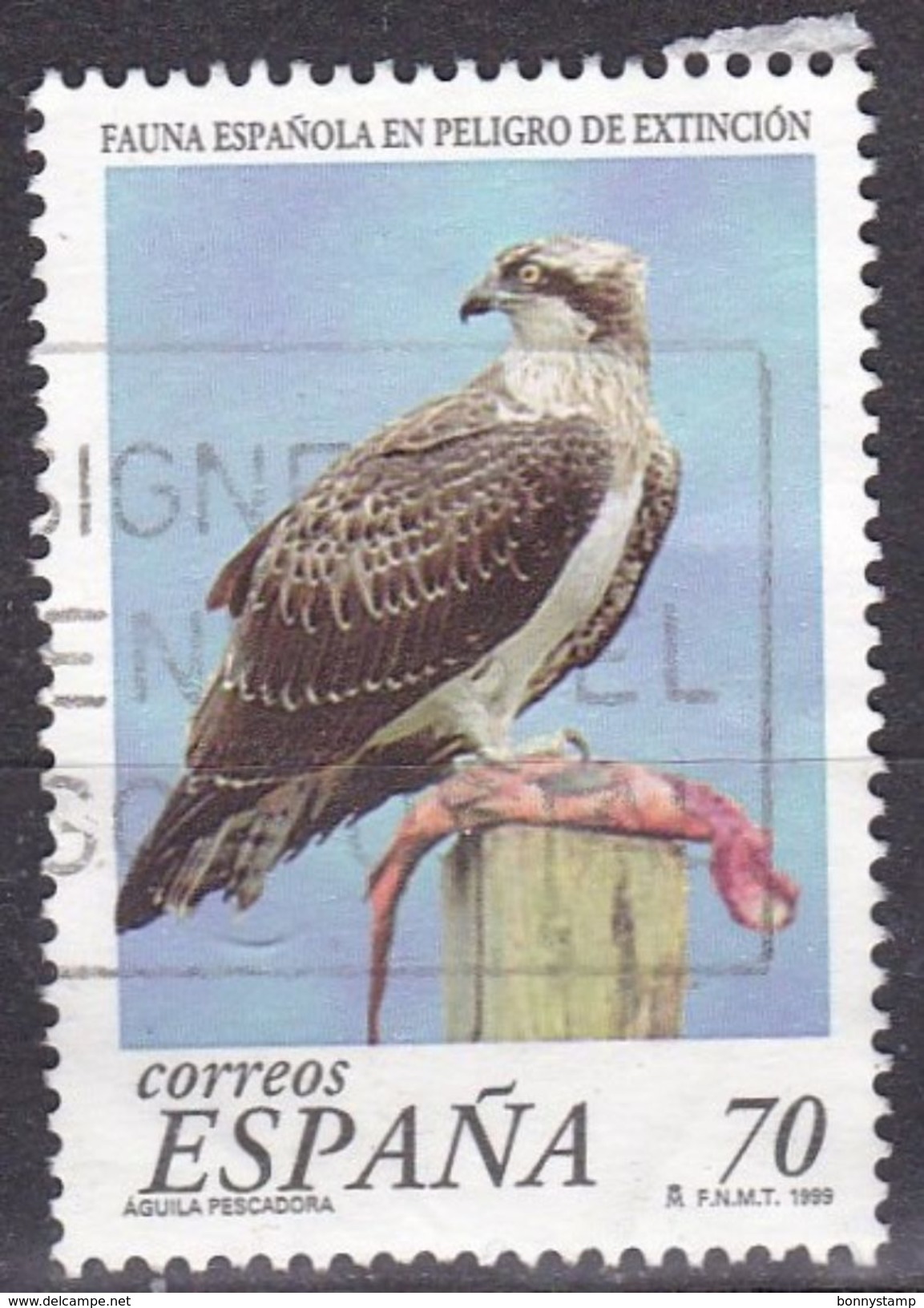 Spagna, 1999 - 70p Pandion Haliaetus - Nr.2979 Usato° - Usati