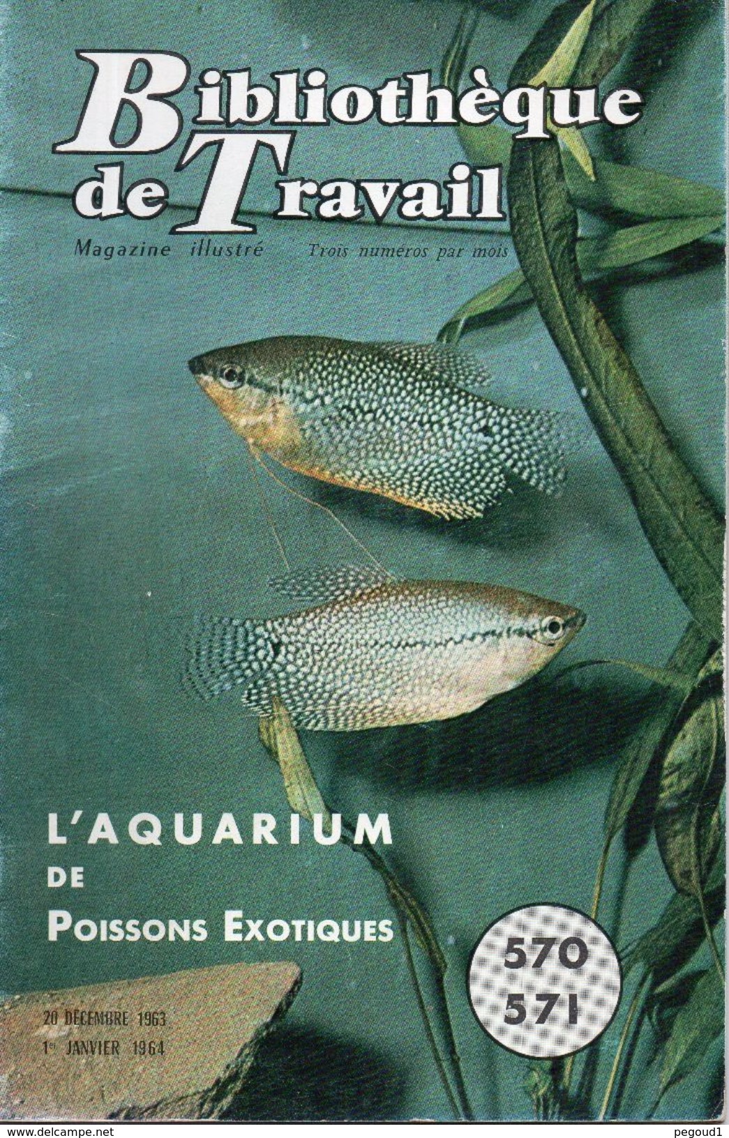 LIVRE. L'AQUARIUM DE POISSONS EXOTIQUES. 1964 Achat Immédiat - Animals