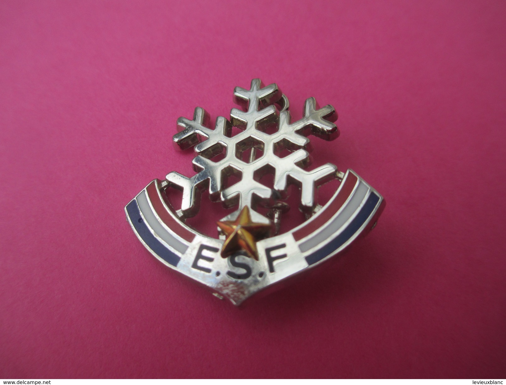 Médaille De Sport/ Ski /Flocon Avec Une étoile  / E S F / Vers 1970                           SPO172 - Winter Sports