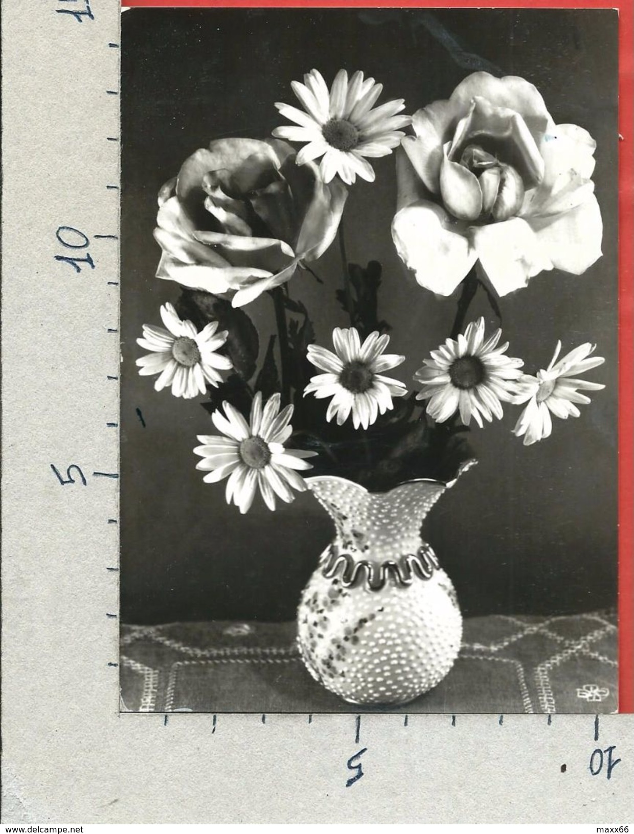 CARTOLINA VG ITALIA - Vaso Di Fiori Con Rose E Margherite - ROTALFOTO -  10 X 15 - ANN. 1957 - Fiori