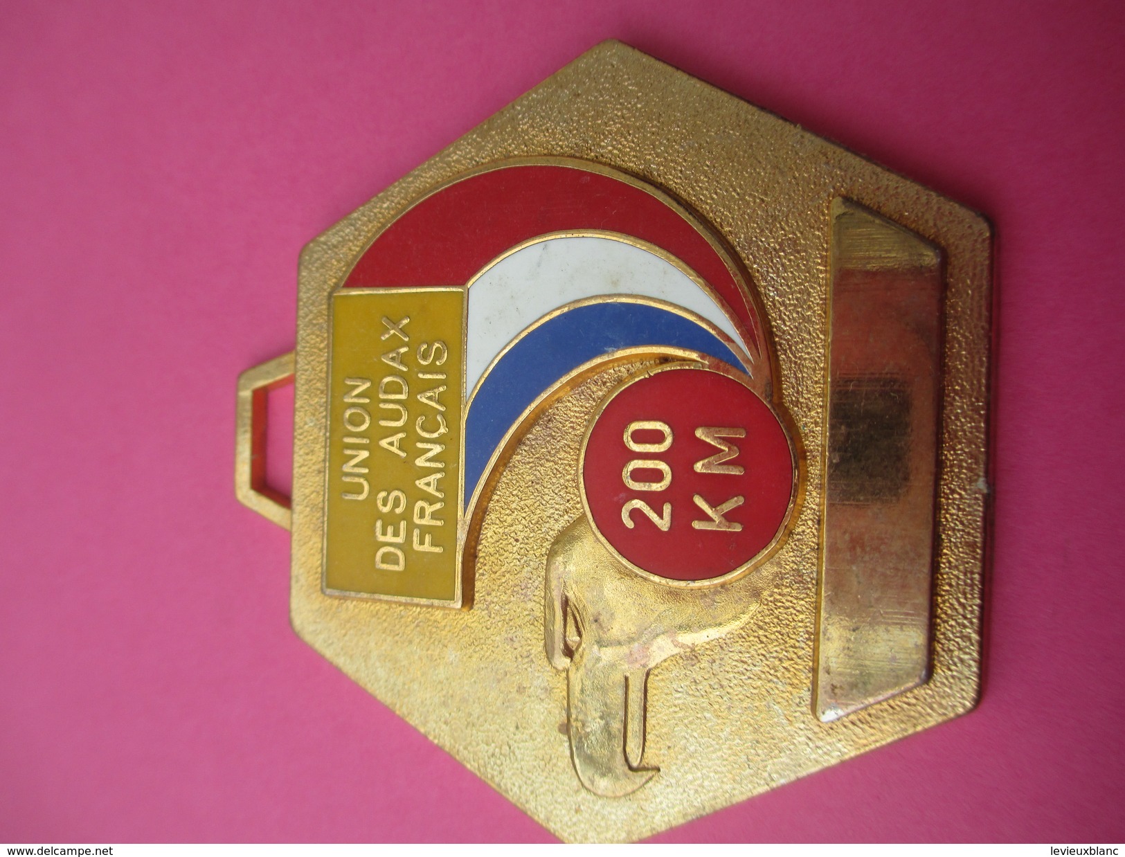 Médaille / Union Des Audax Français / Cyclisme / 200 Km/Bronze Doré/ Vers 1980               SPO175 - Ciclismo