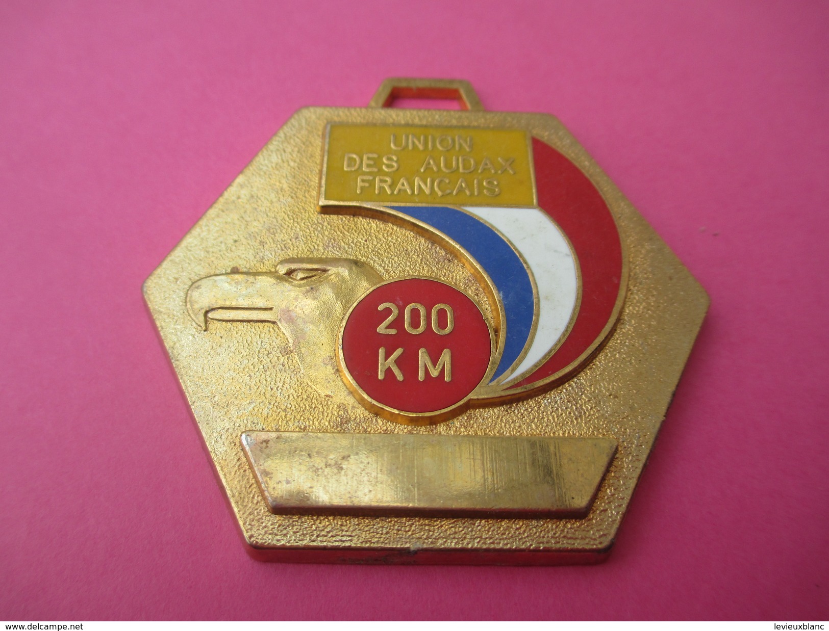 Médaille / Union Des Audax Français / Cyclisme / 200 Km/Bronze Doré/ Vers 1980               SPO175 - Wielrennen