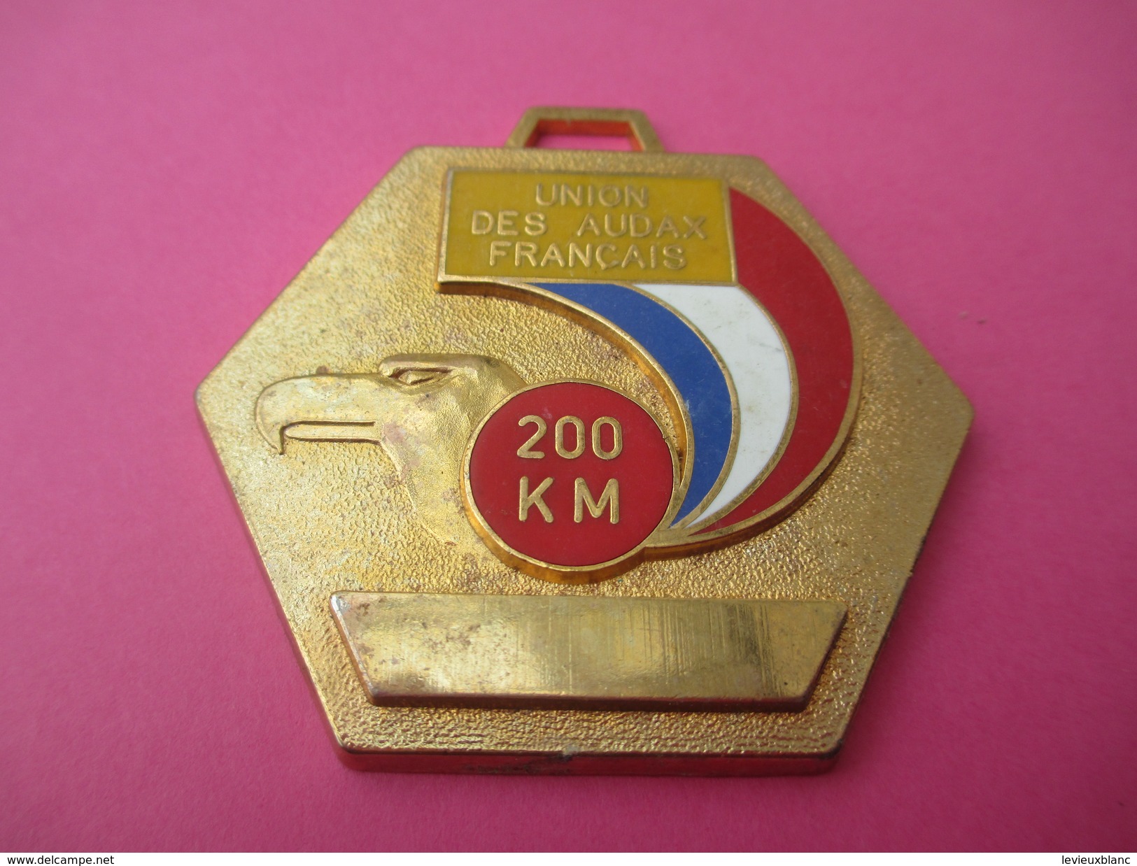 Médaille / Union Des Audax Français / Cyclisme / 200 Km/Bronze Doré/ Vers 1980               SPO175 - Cyclisme