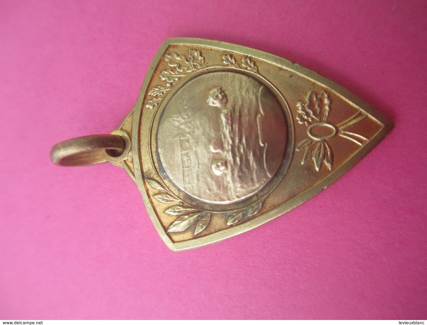 Médaille De Sport/ Natation / Nageurs En Mer/ Bronze Doré/ Vers 1930 - 1950             SPO181 - Swimming