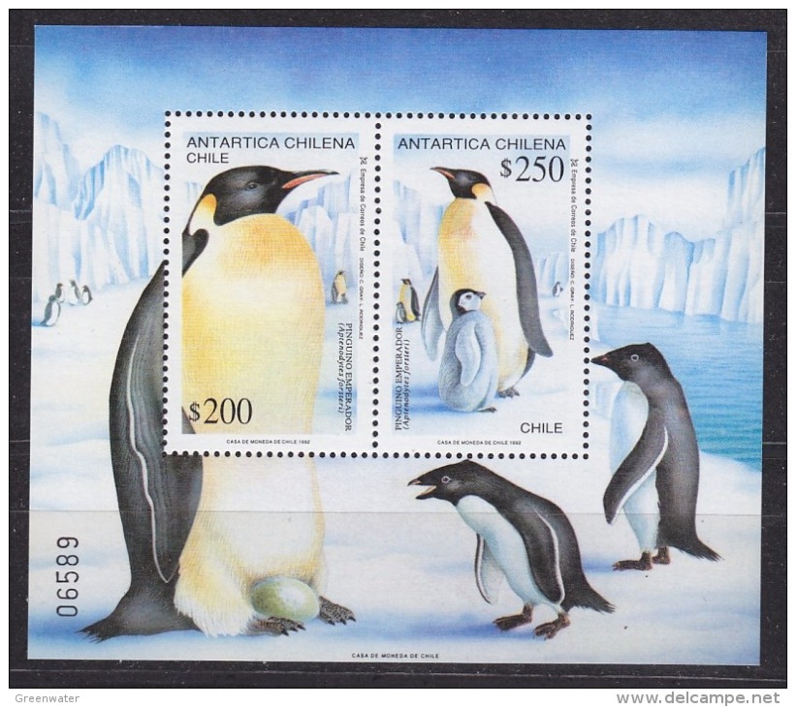Chile 1992 Antarctica / Emperor Penguins M/s  ** Mnh (31395) - Chili