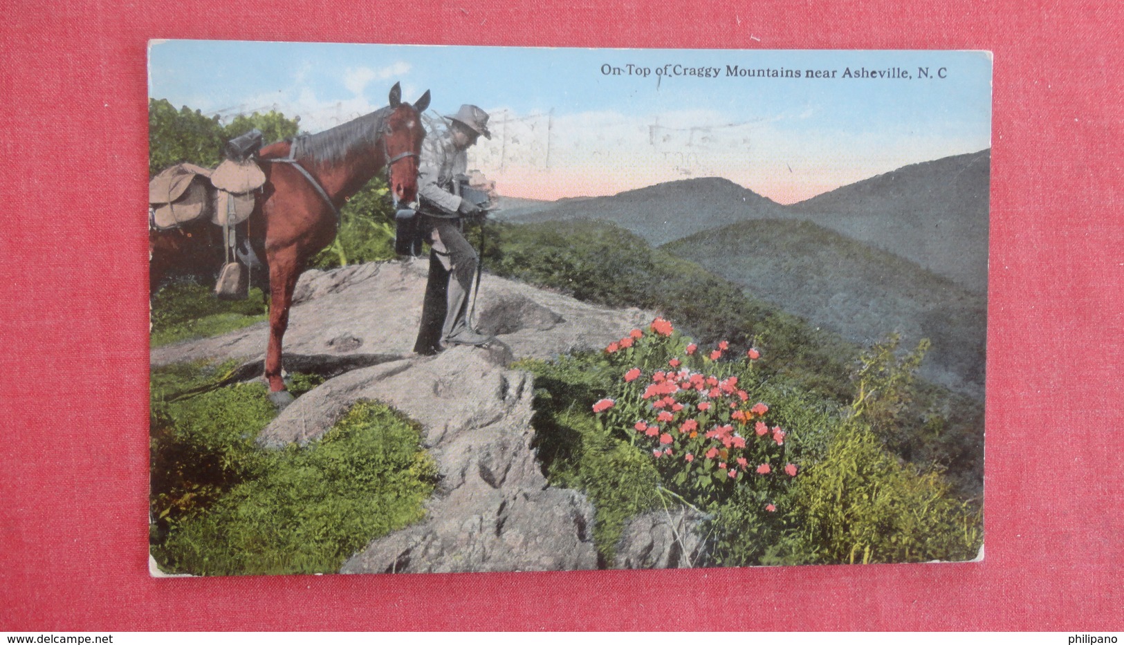 Man Taking Photo's On Top Of Craggy Mountains Near Asheville - North Carolina > Asheville>  Ref 2648 - Asheville
