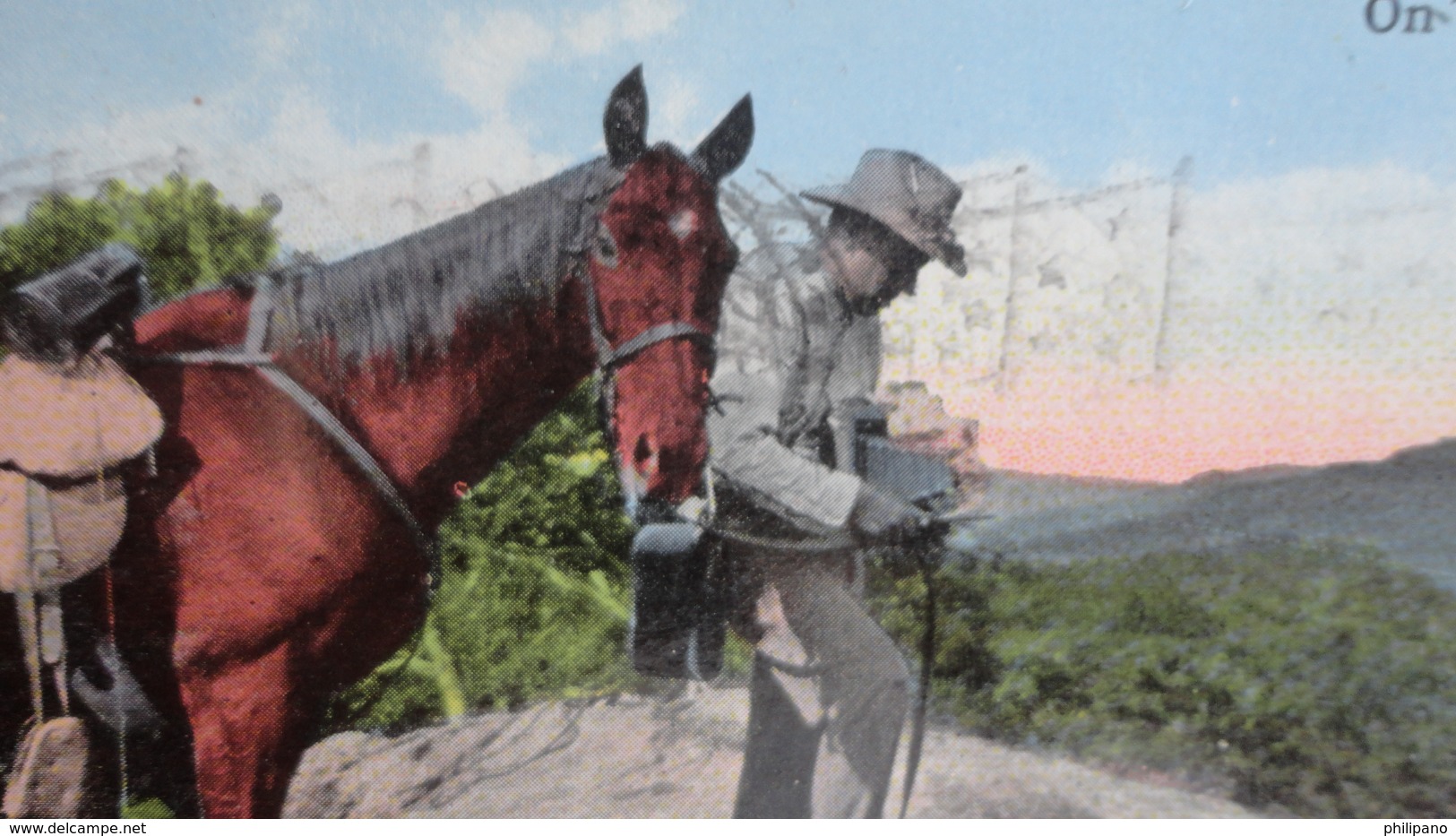 Man Taking Photo's On Top Of Craggy Mountains Near Asheville - North Carolina > Asheville>  Ref 2648 - Asheville