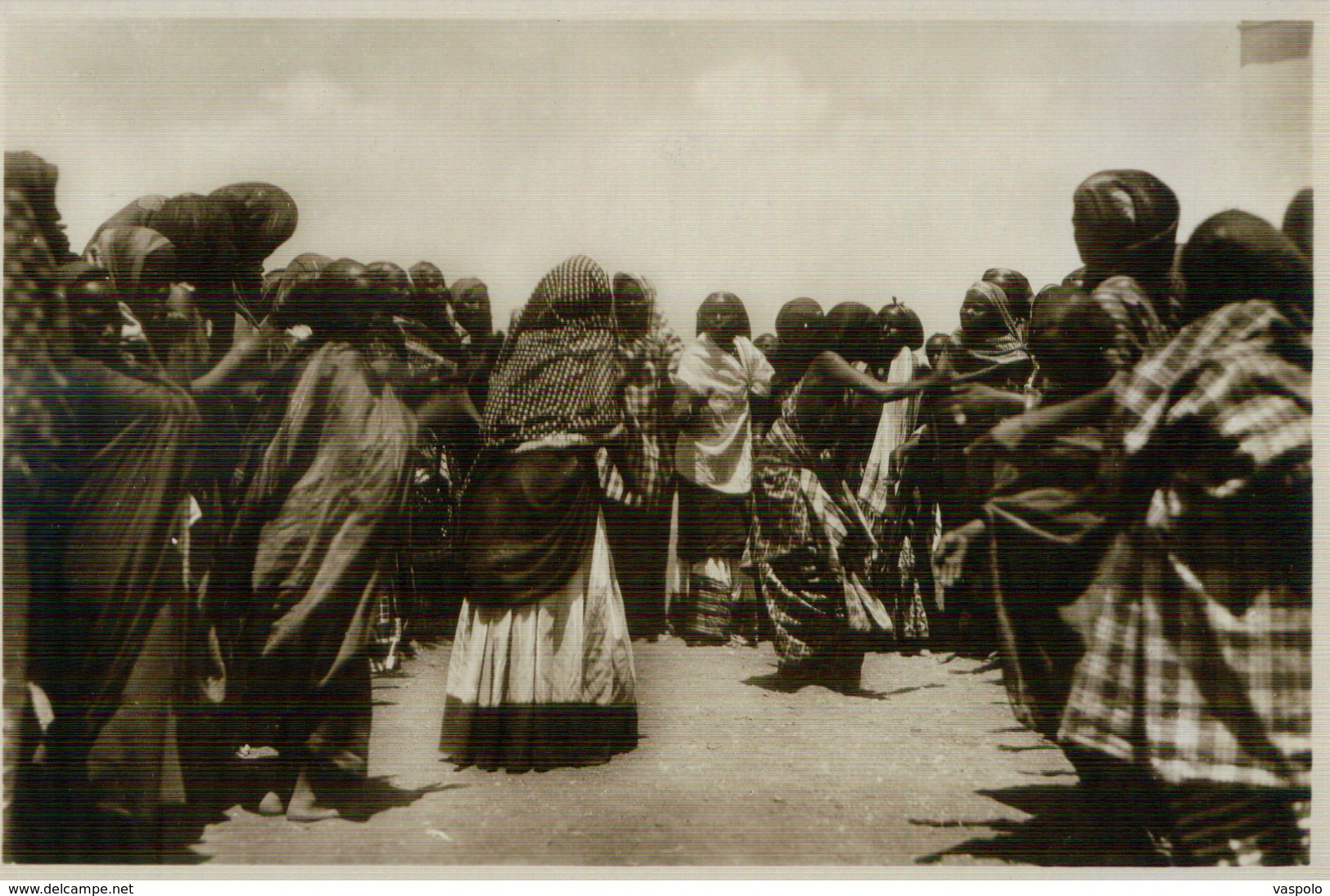 SOMALIA ITALIANA FAUNE AFRICAINE 3 VINTAGE POSTCARD - Somalie