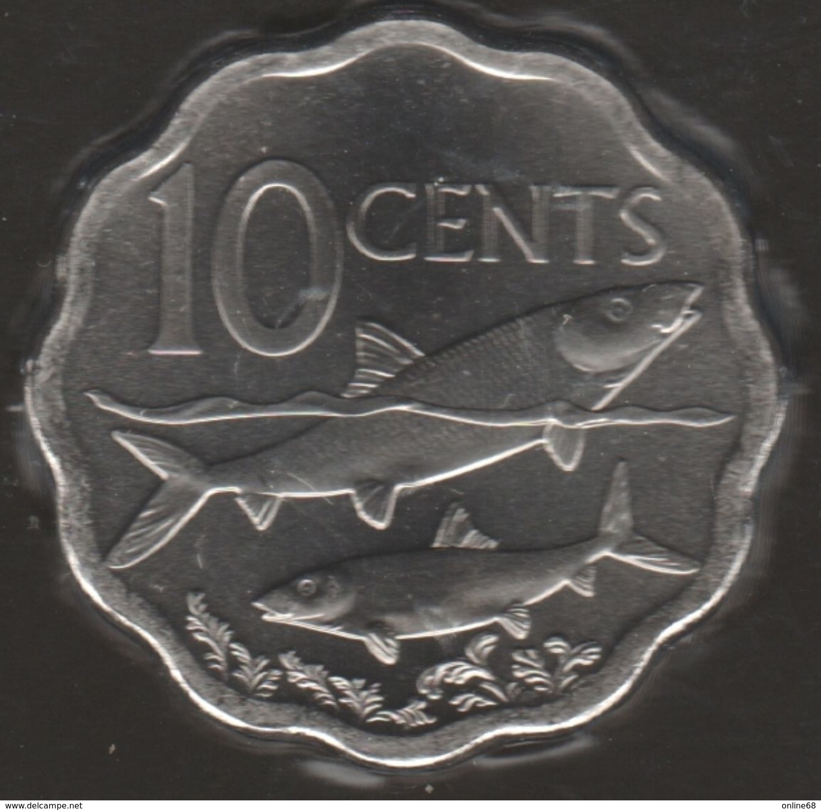 BAHAMAS 10 CENTS 2007 KM# 219 Bonefish ( Albula Vulpes ) - Bahamas