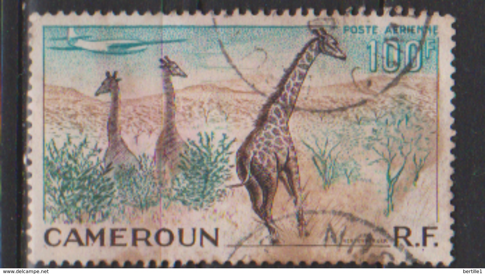 CAMEROUN      N°   PA 47    ( 5 )       OBLITERE  ( O 646 ) - Airmail