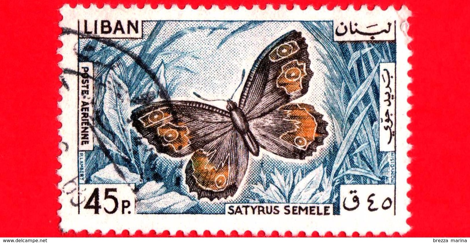 LIBANO - Usato - 1965 - Farfalla - Grayling Butterfly (Satyrus Semele) - 45 - Libano