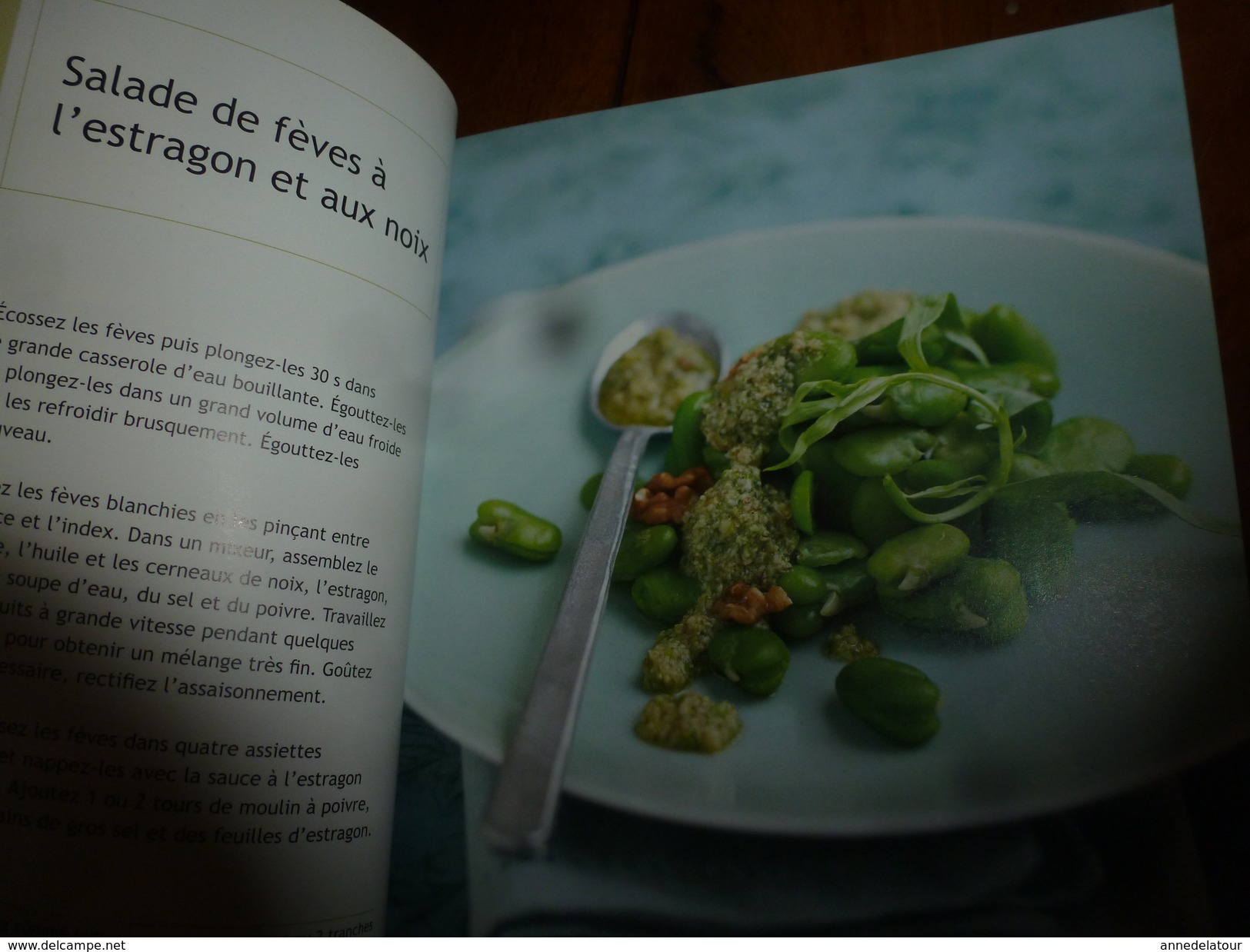 2011 CUISINE VEGETARIENNE  , Plus De 100 Recettes Pour (printemps, été , Automne, Hiver) - Salud