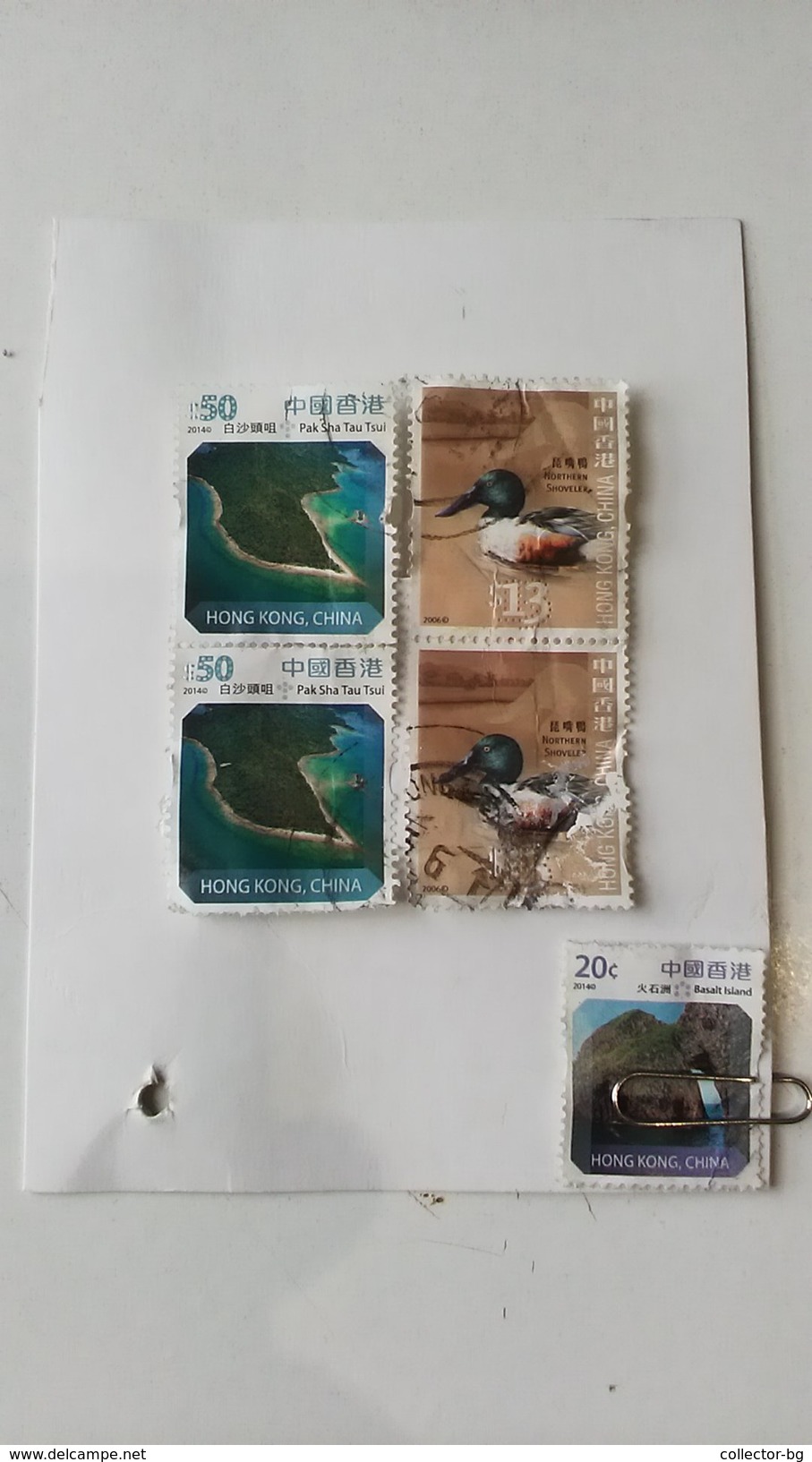 RARE PAIR 50$+13$+20C HONG KONG CHINA 2006-20014 USED TRAVEL BIG PARCEL RRR NORTH SHOVELER BASALT ISLAND STAMP TIMBRE - Usati