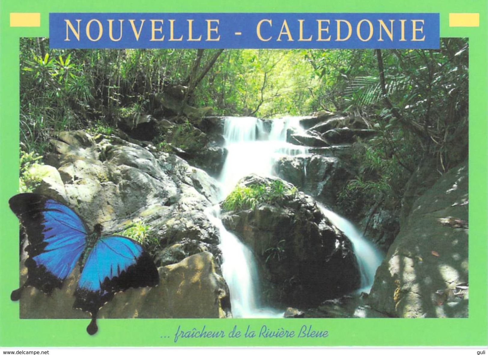 NOUVELLE CALEDONIE Fraîcheur De La Riviére Bleue (chutes D'eau Cascade Cascades Waterfall Waterfalls Papillon Butterfly) - Nouvelle Calédonie