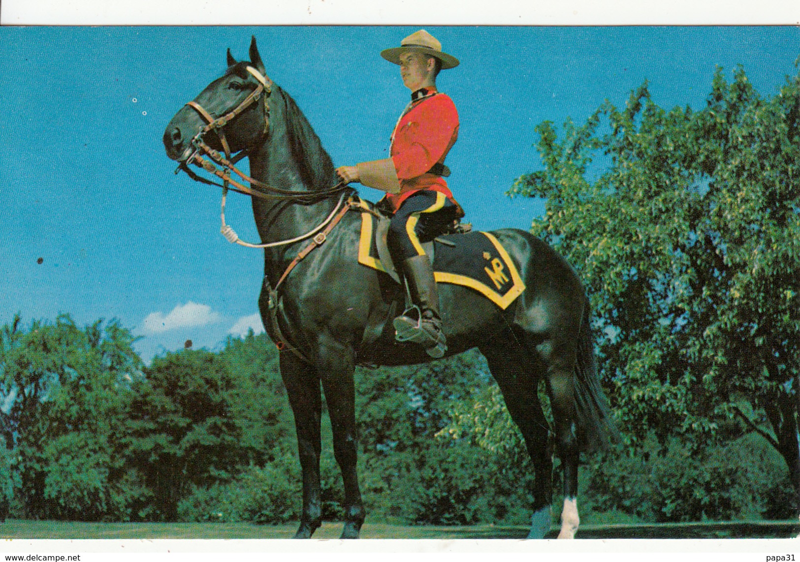 Police à Cheval - Royal Canadian Mounted Police - Chevaux