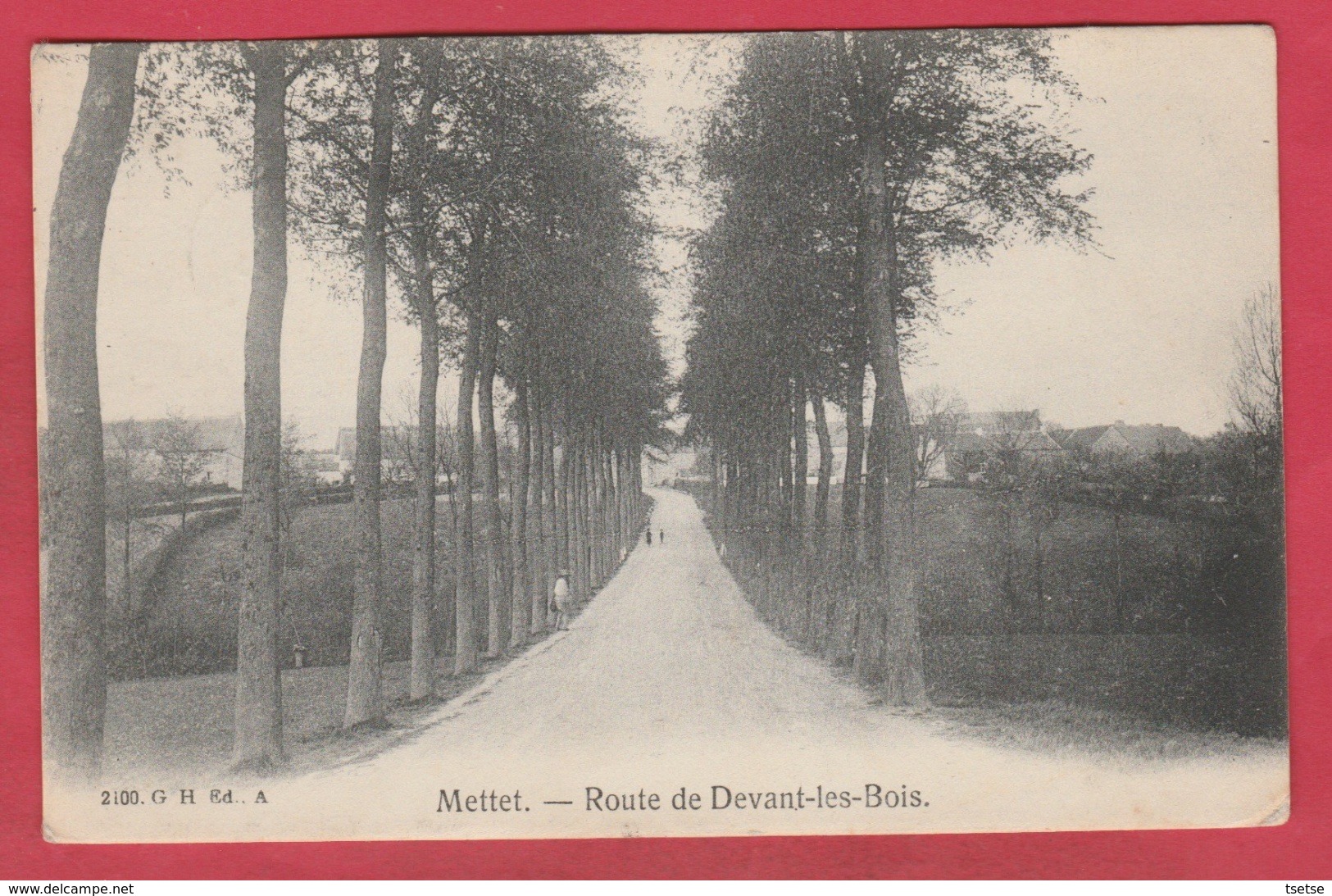 Mettet - Route De Devant-les-Bois - 1910 ( Voir Verso ) - Mettet