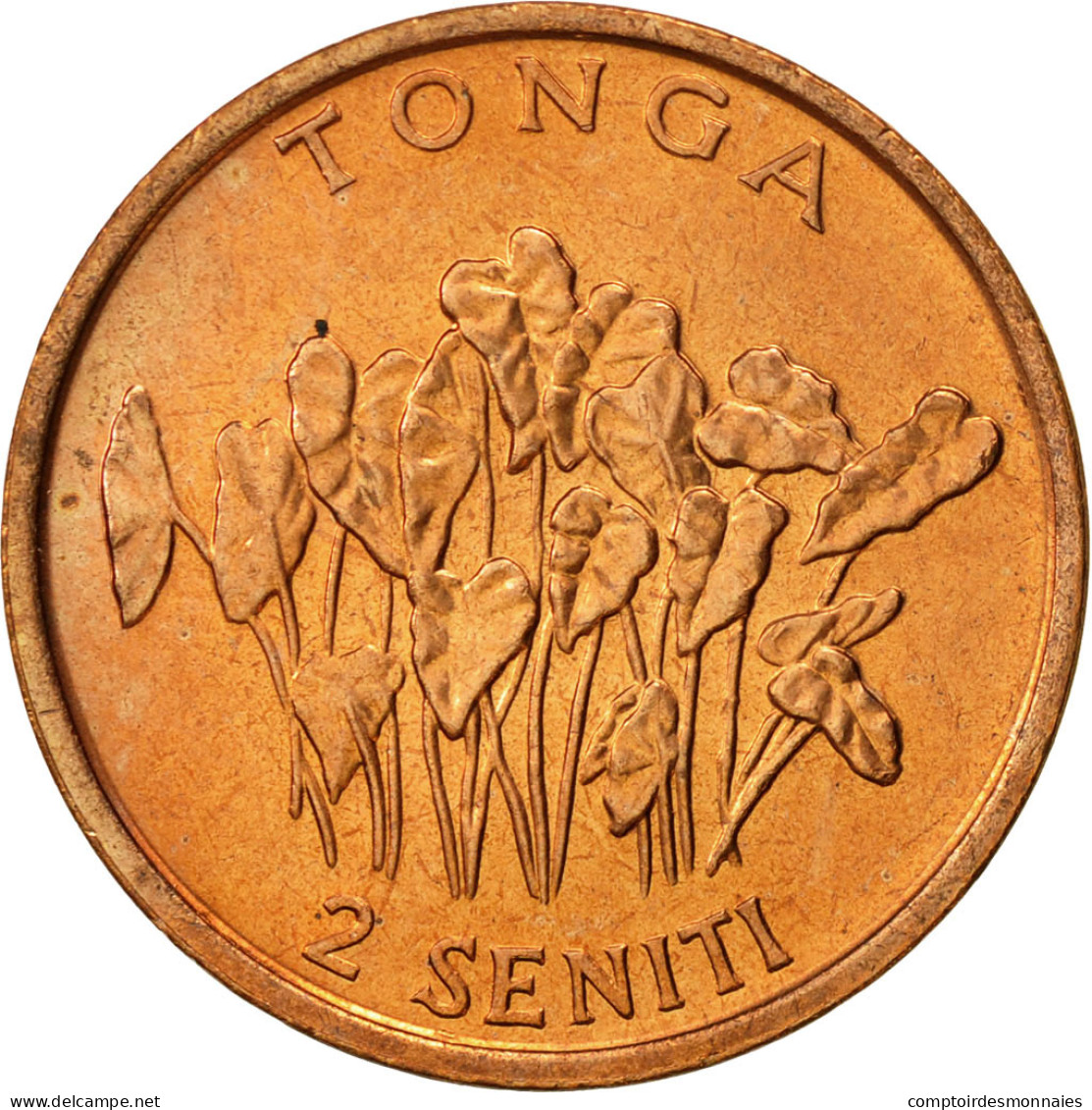 Monnaie, Tonga, King Taufa'ahau Tupou IV, 2 Seniti, 1996, SUP, Bronze, KM:67 - Tonga