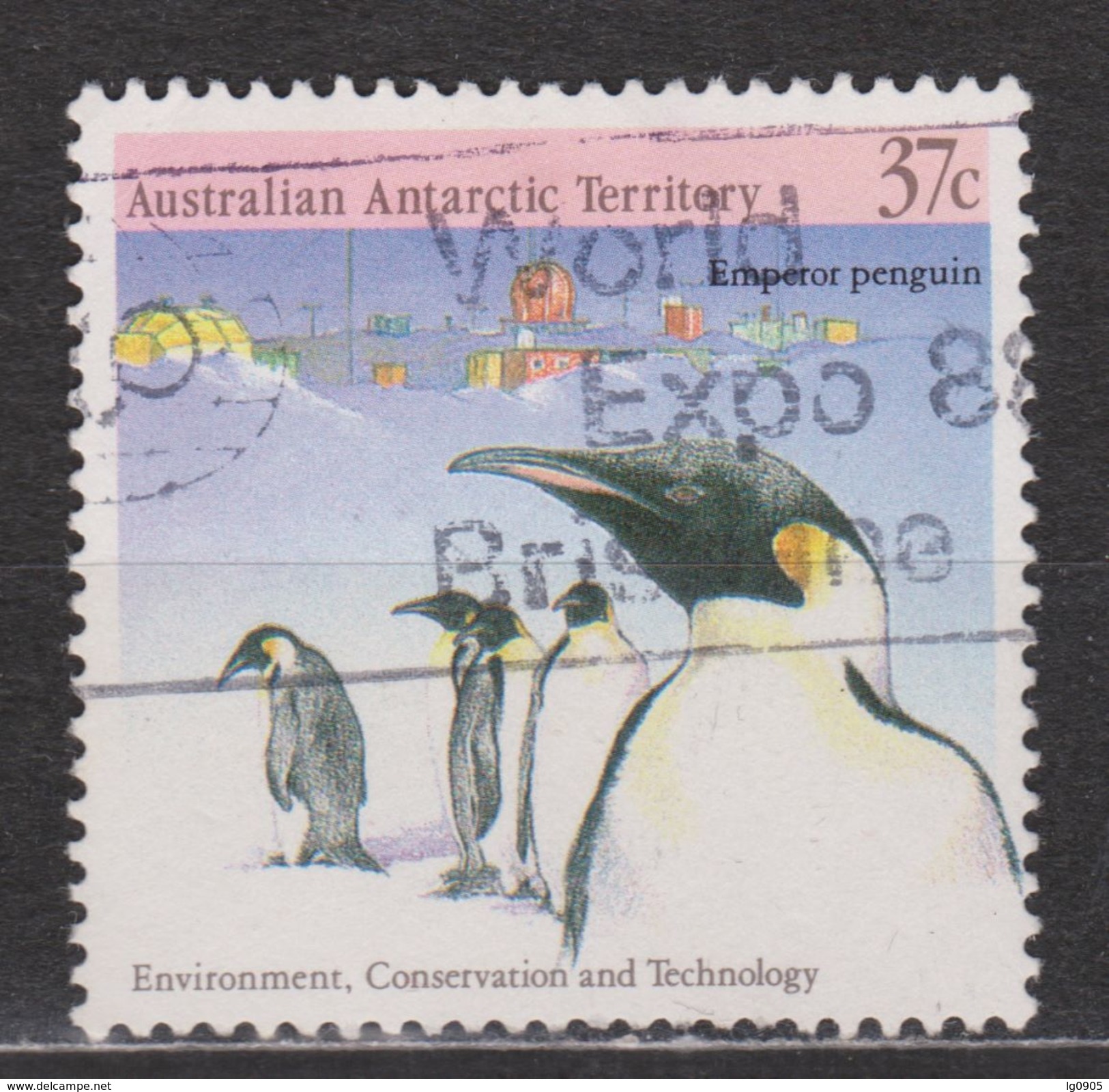 Australie Australia Antarctic Used ; Pinguin, Pingouin, Manchot, Pinguino 1988 NOW MANY ANIMAL STAMPS - Pinguïns & Vetganzen