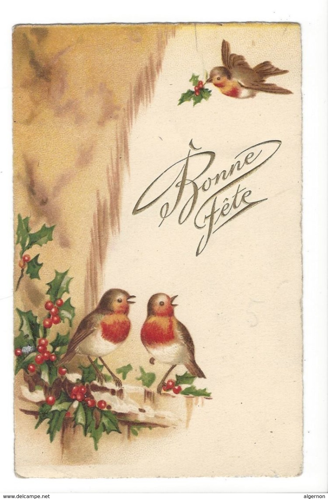 17112 - Bonne Fête Trois Oiseaux Rouge-gorge Et Houx - Nieuwjaar