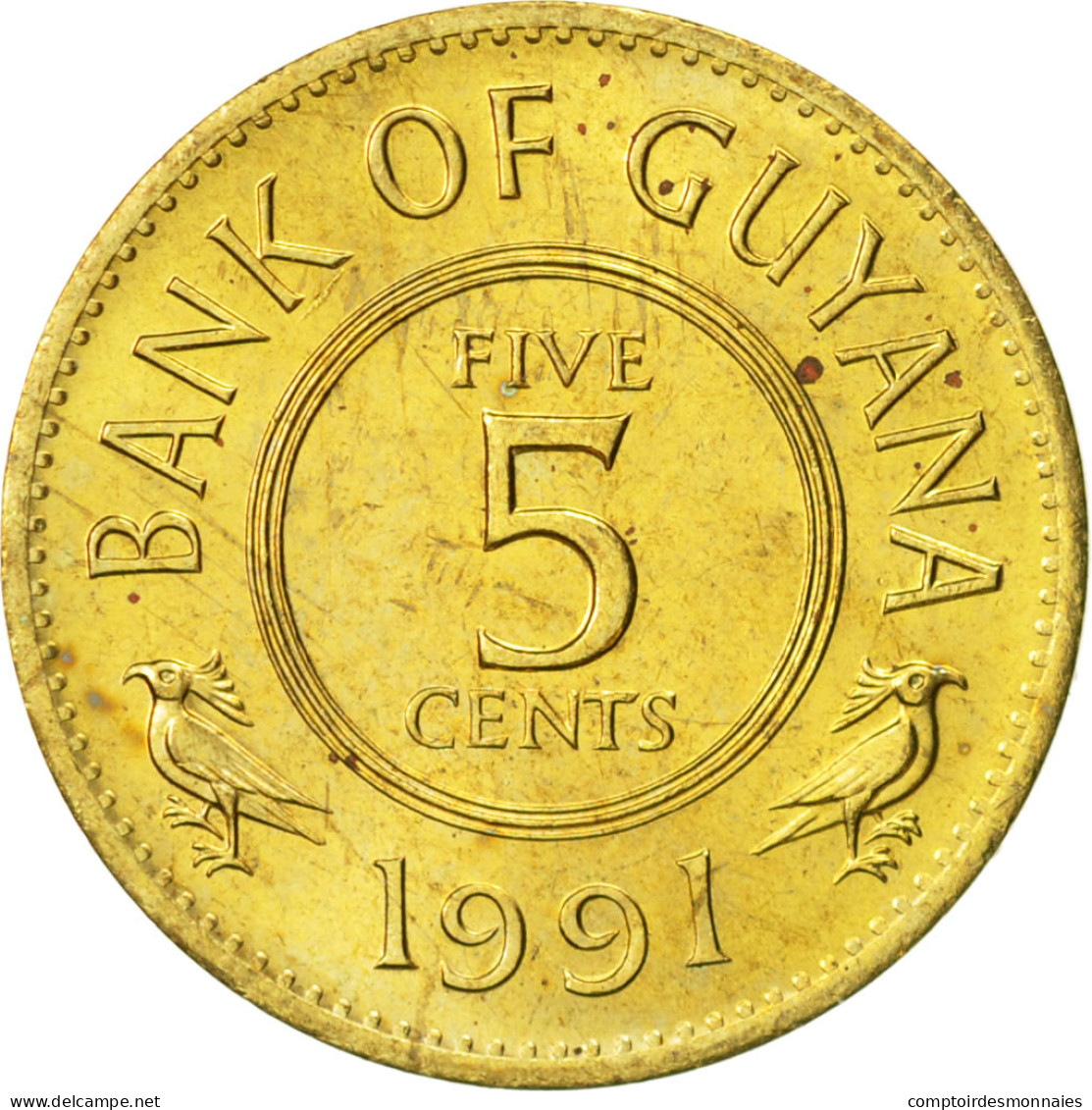 Monnaie, Guyana, 5 Cents, 1991, SUP, Nickel-brass, KM:32 - Guyana