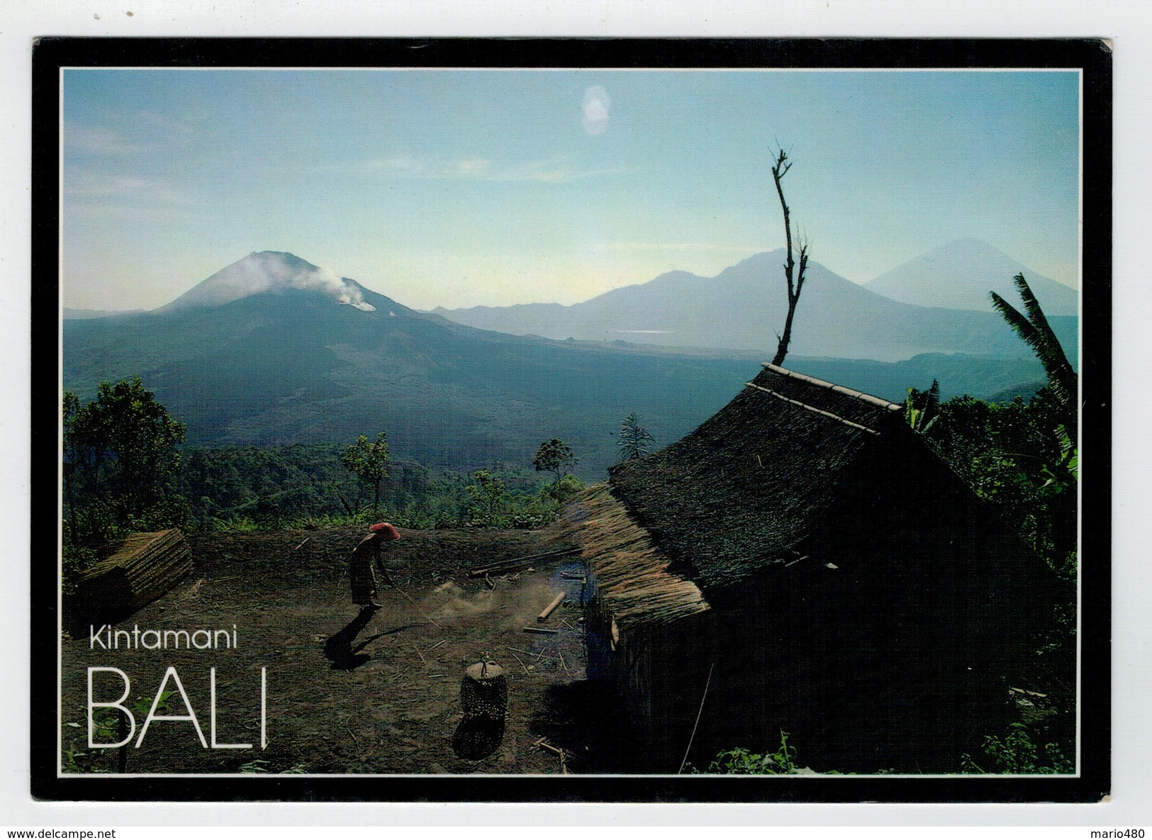 MAXI  CARD   BALI    -PEACEFUL MORNING IN  KINTAMANI    2  SCAN   (VIAGGIATA) - Indonesia