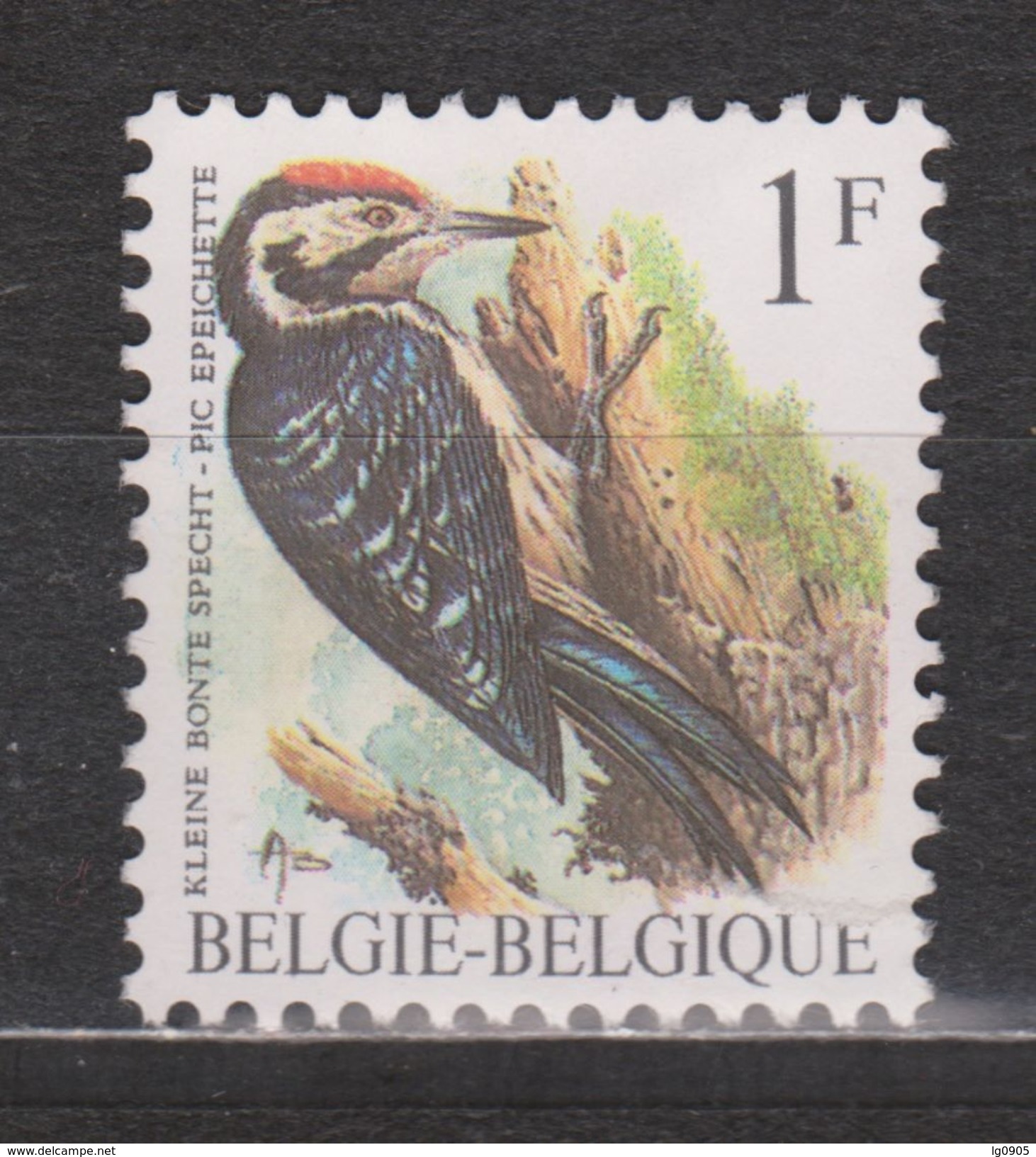 Belgie Belgique Belgica Used ; Specht, Pic, Pico, Woodpecker NOW MANY ANIMAL STAMPS FOR SALE - Spechten En Klimvogels
