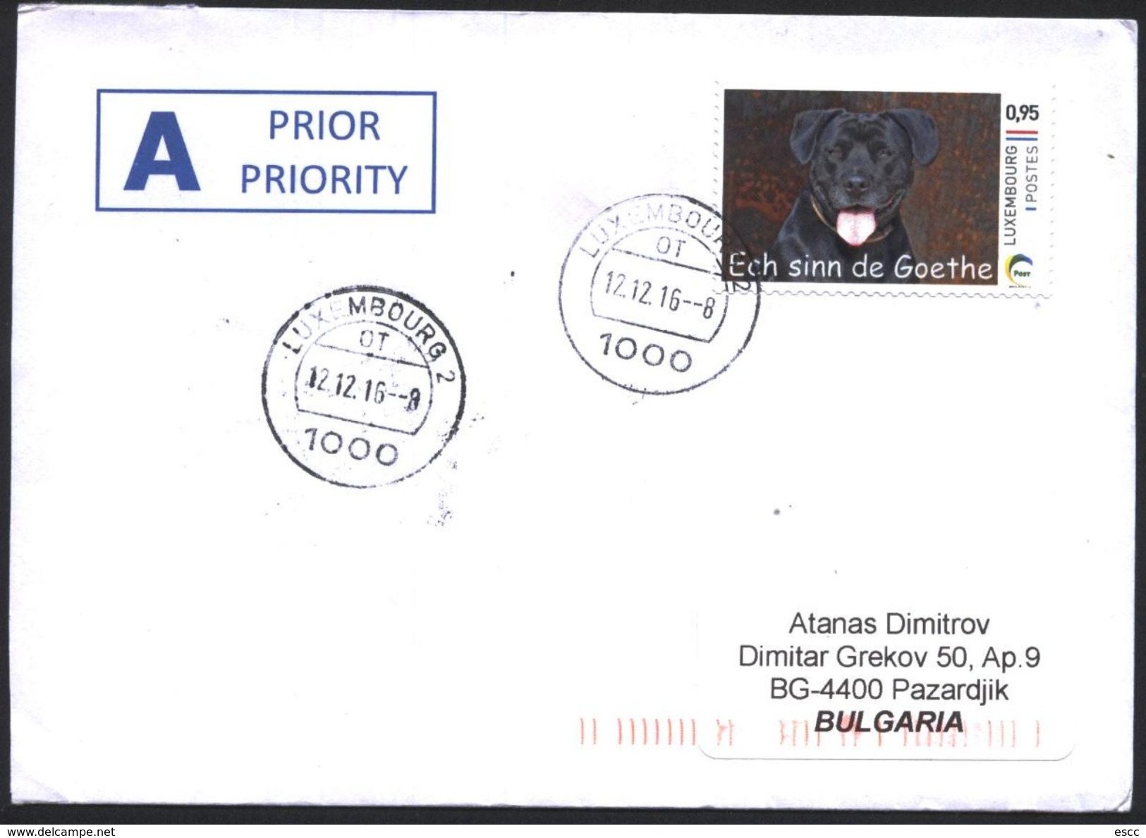 Mailed Cover With Stamp  Fauna Dog 2016 From Luxembourg - Covers & Documents