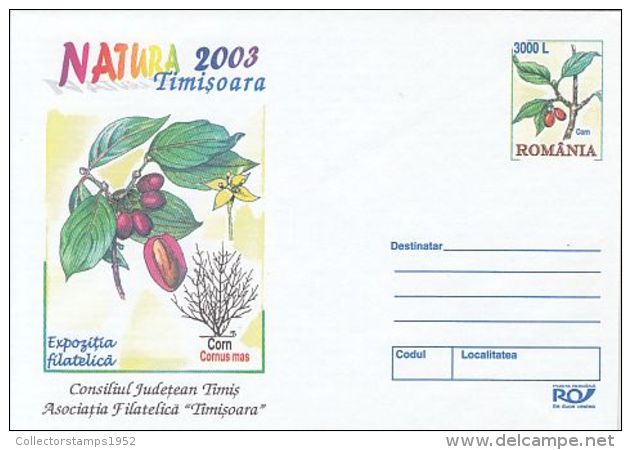 63469- CORNELIAN CHERRY, TREE, FOREST'S MONTH, COVER STATIONERY, 2003, ROMANIA - Bäume