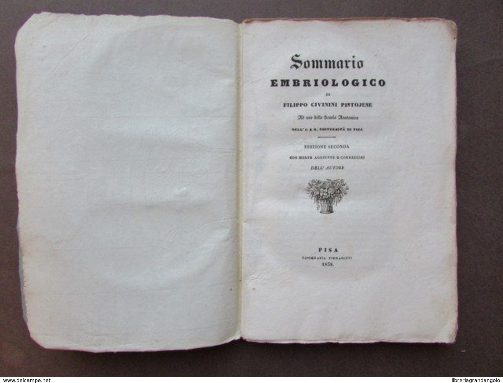 Sommario Embriologico Civinini Pistoia Seconda Edizione Pieraccini 1838 Medicina - Non Classificati
