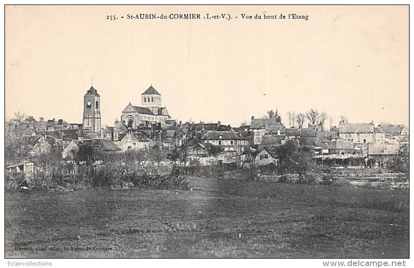 Saint Aubin Du Cormier       35        Vue Du Bout De L'étang    ( Voir Scan) - Autres & Non Classés