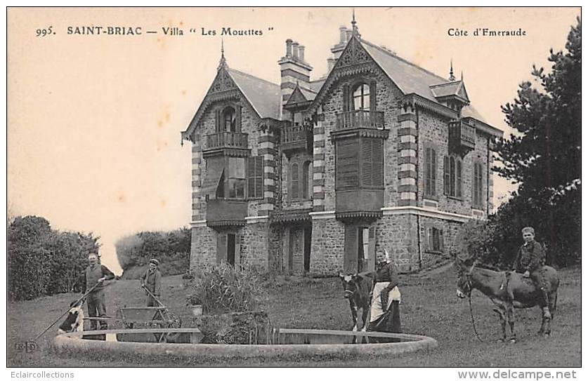 Saint Briac       35      Villa  Les Mouettes. Enfant Sur Un âne    ( Voir Scan) - Saint-Briac