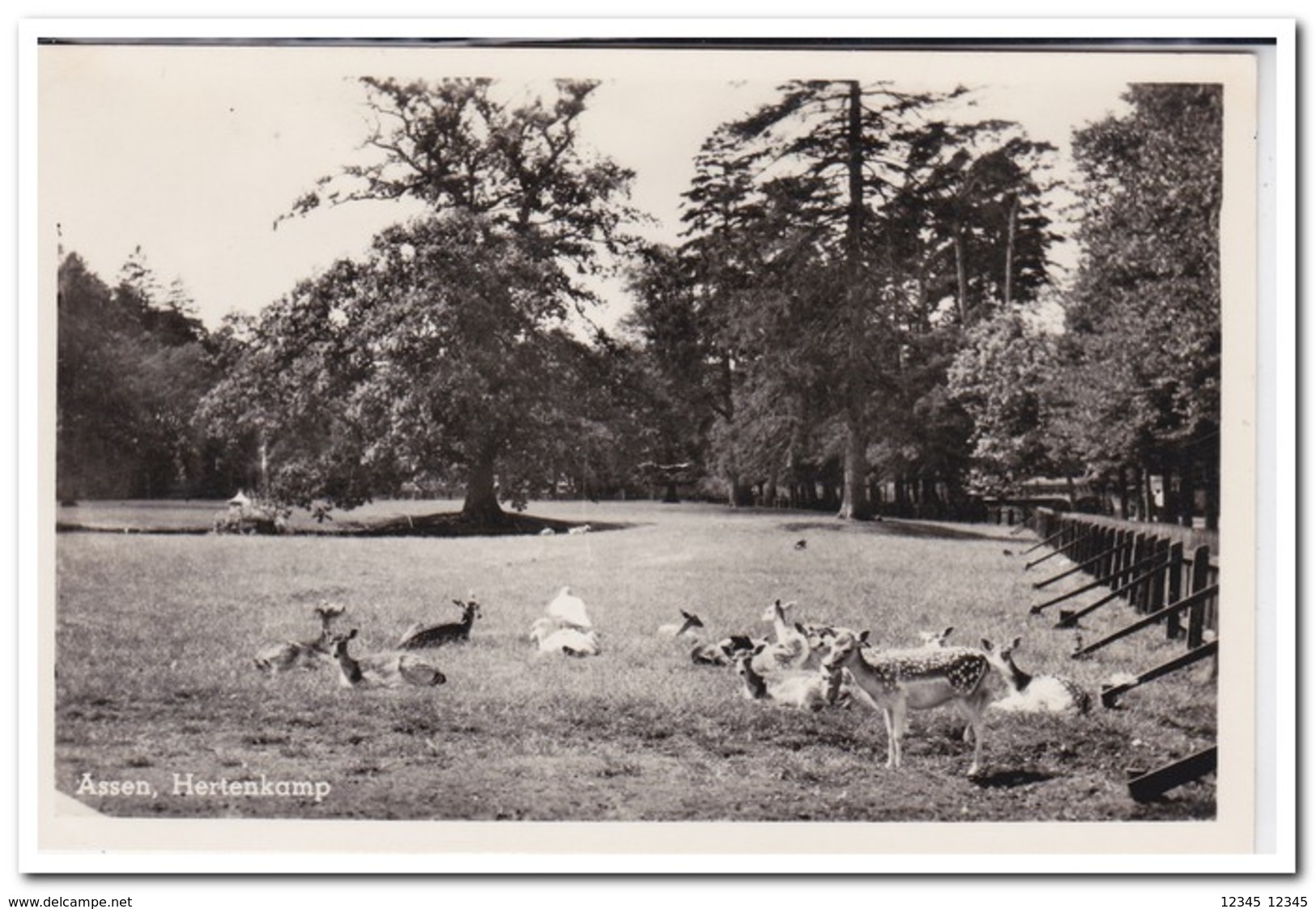 Assen, Hertenkamp - Assen