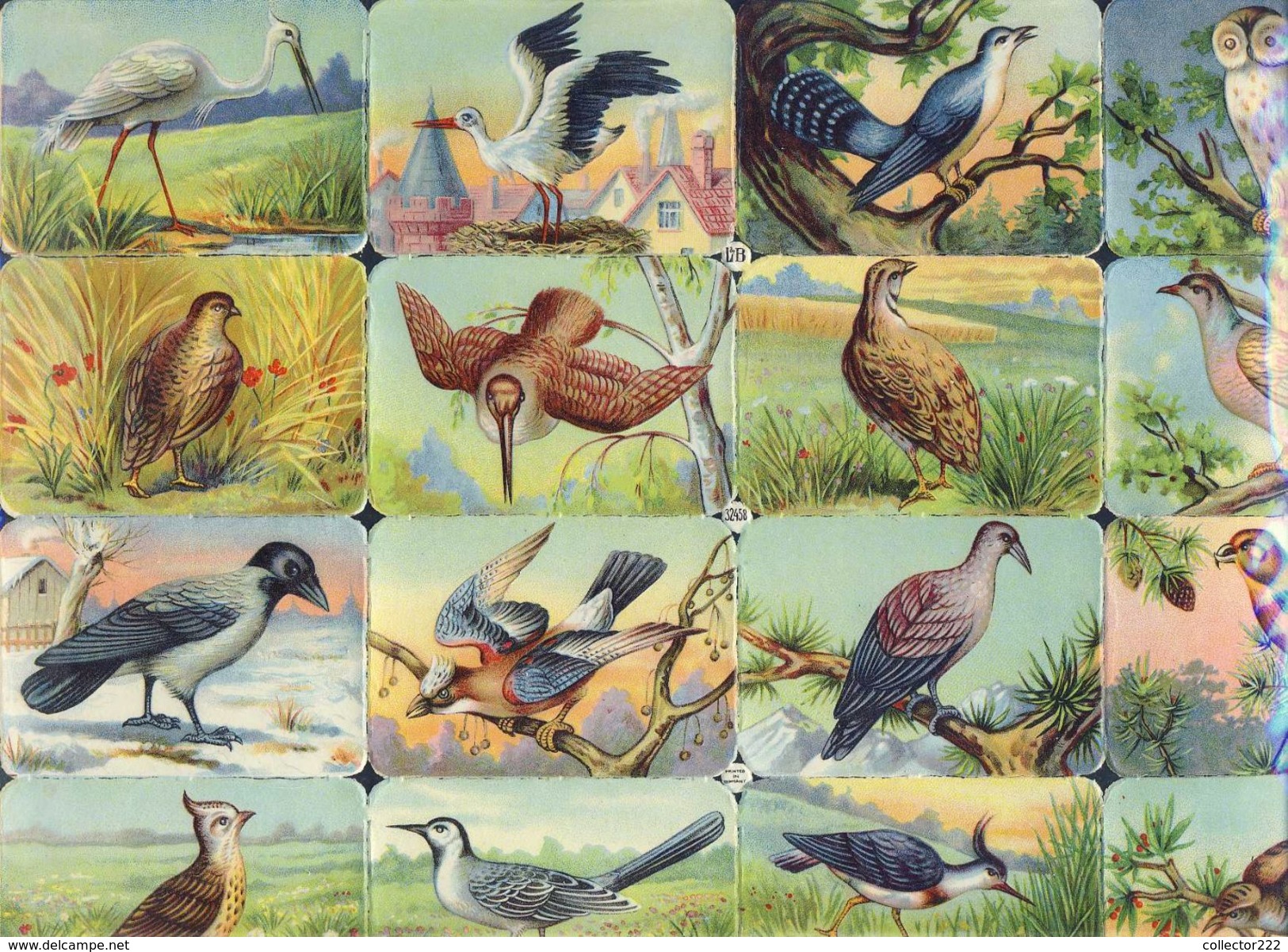Planche Avec 16 Chromos Découpis Scraps L&B: Oiseaux (Ref. 112922) - Tiere