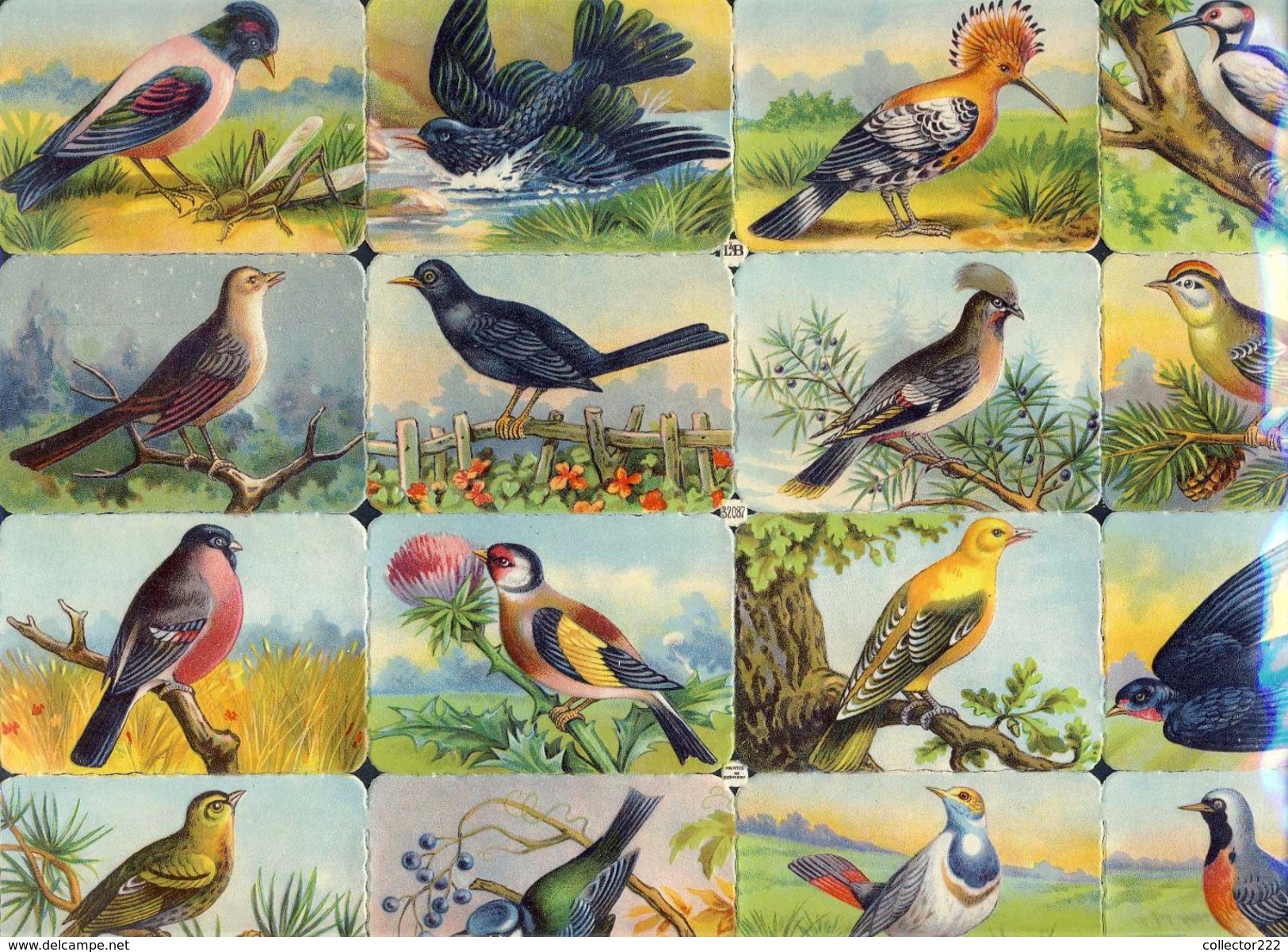 Planche Avec 16 Chromos Découpis Scraps L&B: Oiseaux (Ref. 112916) - Animals