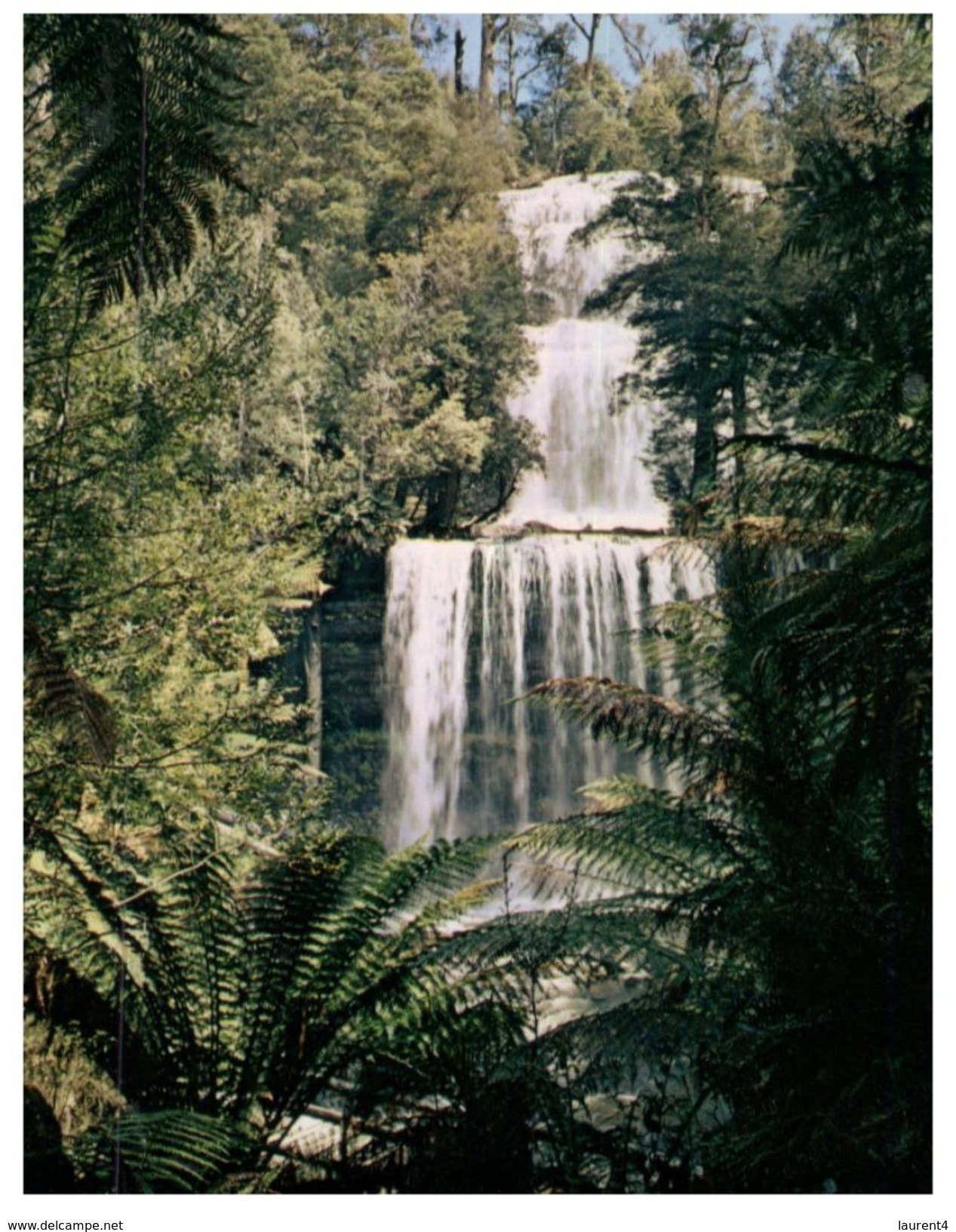 (270) Australia - TAS - UNESCO Bridal Falls ? - Wilderness