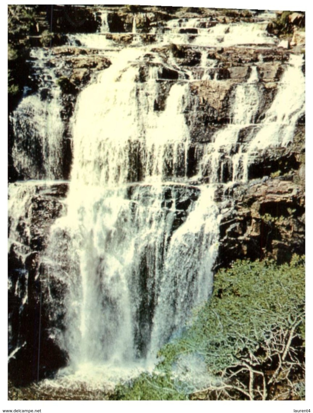(270) Australia - VIC - McKenzier Falls - Grampians