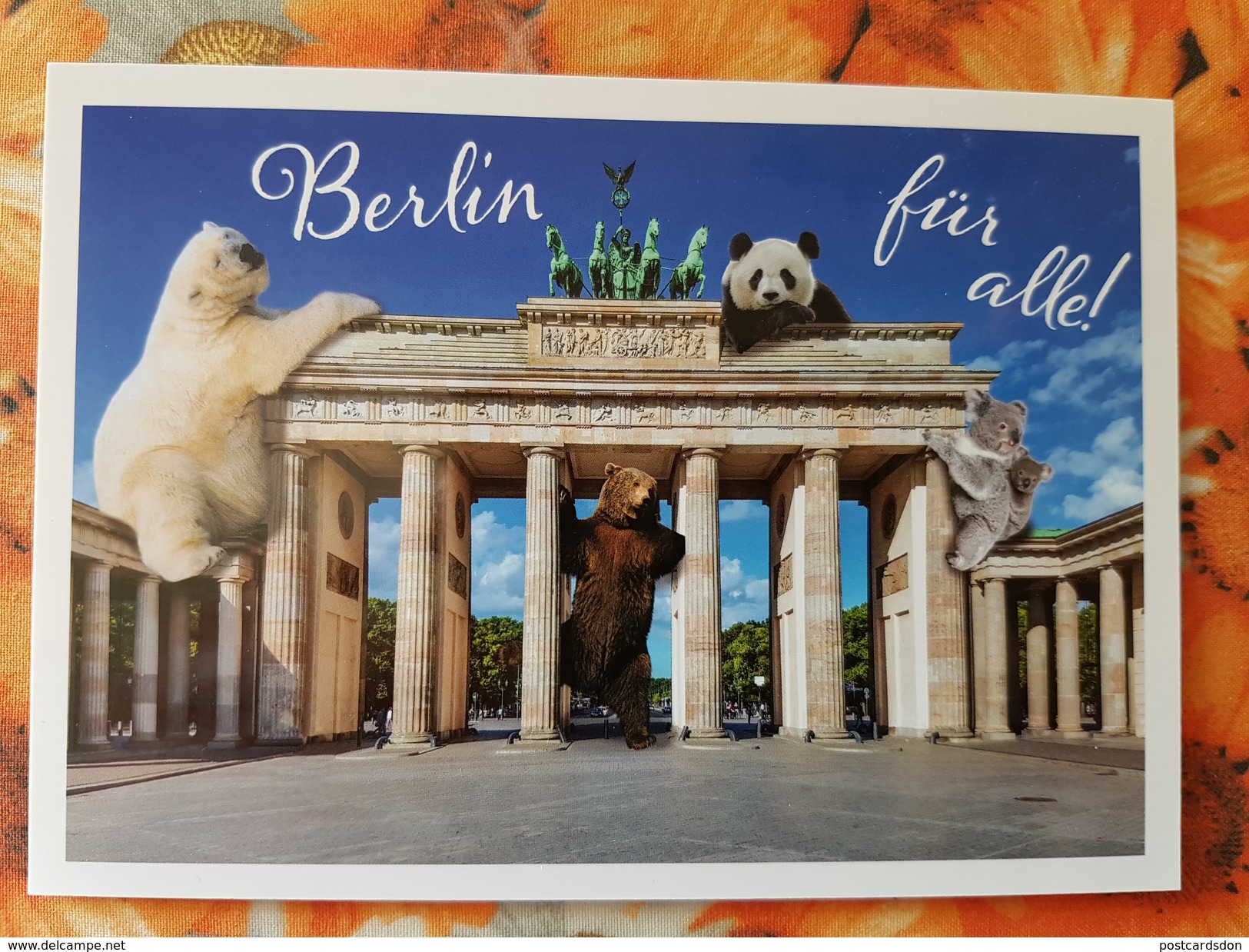 PANDA  - Bear - White Bear - Koala - Modern German Postcard - Berlin - Other & Unclassified