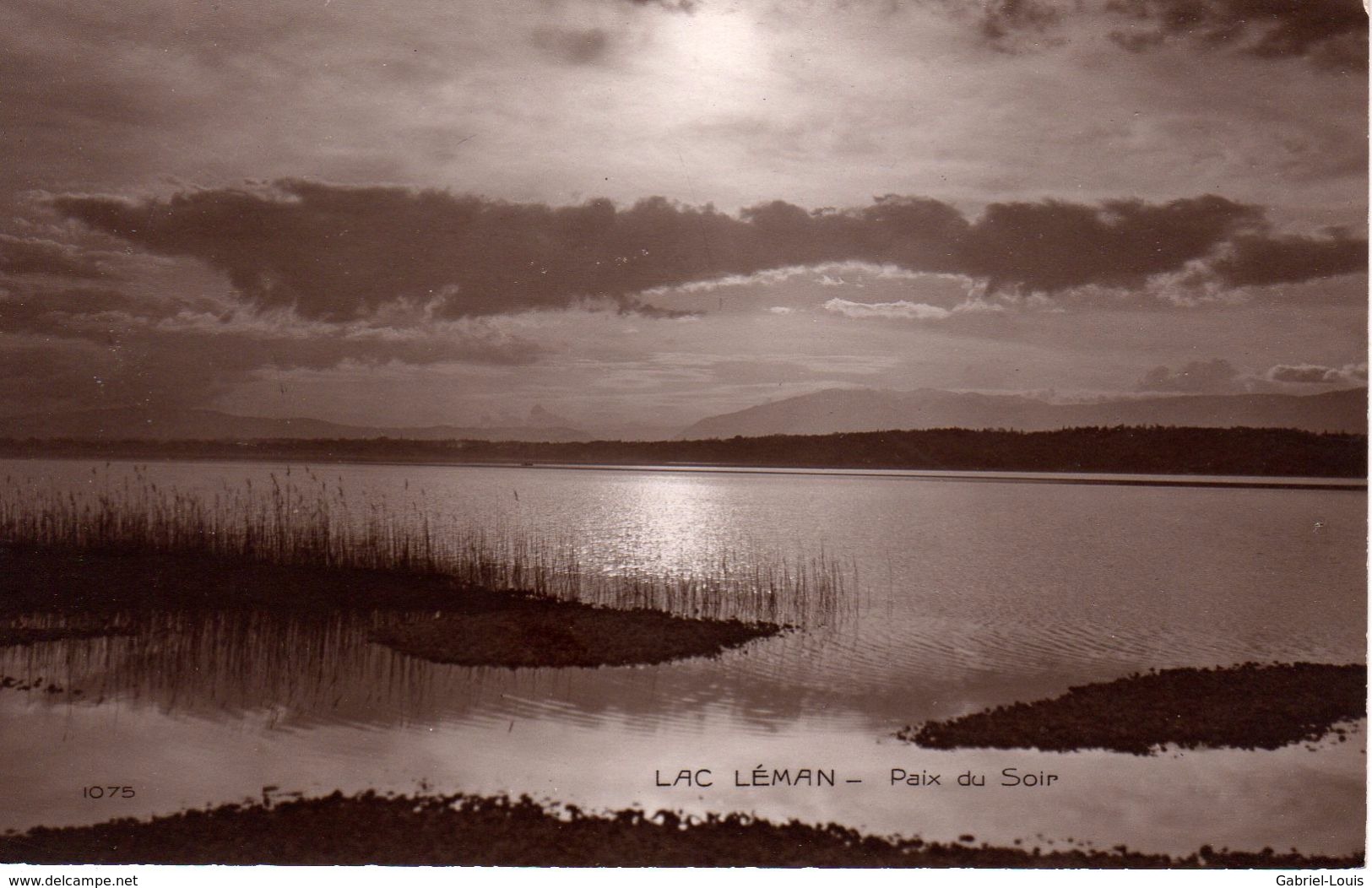 Lac Léman / Paix Du Soir - Autres & Non Classés