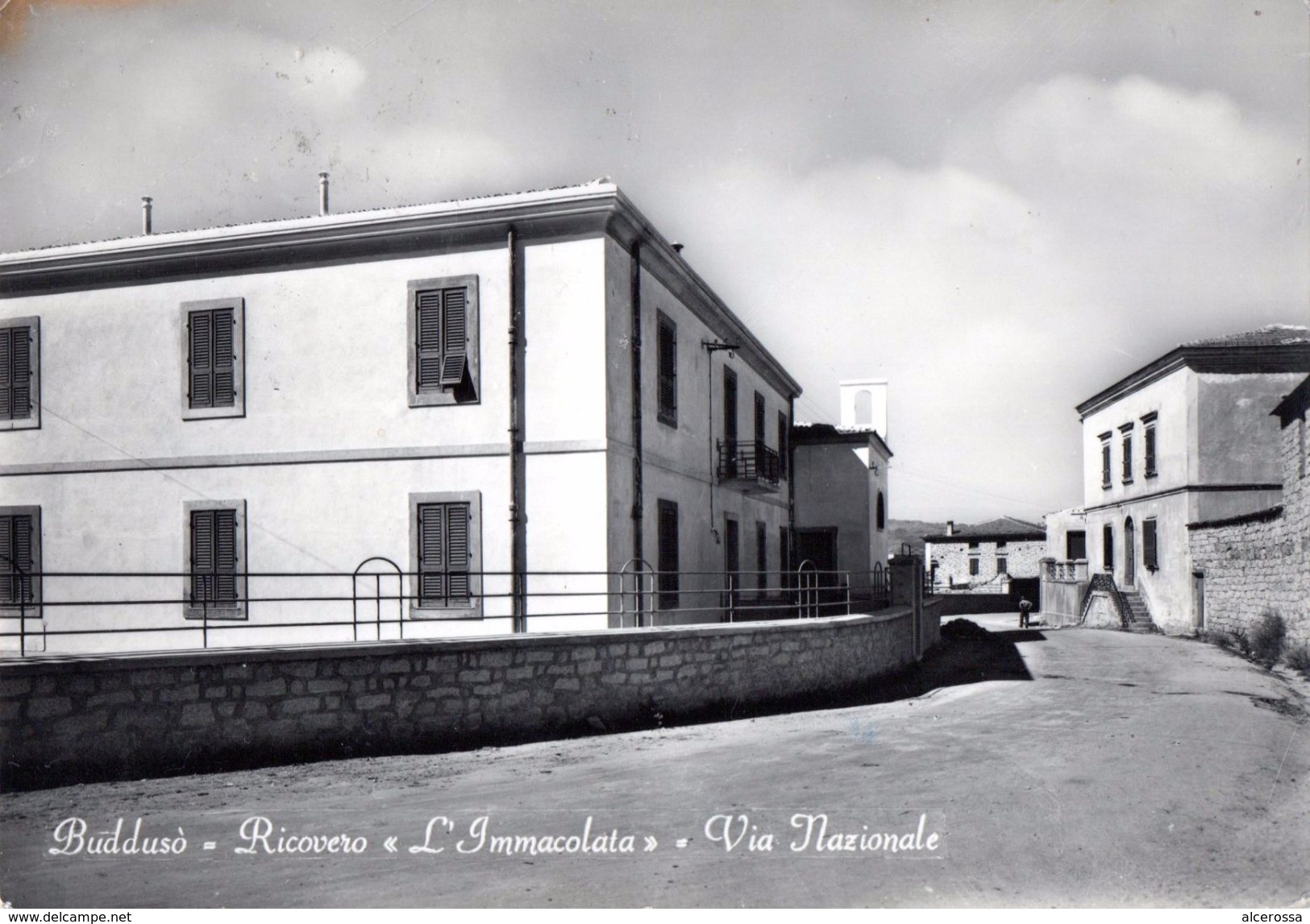 AP393 BUDDUSO' - VIA NAZIONALE  FG VIAGGIATA 11.8.1959 FOTOGRAFICA - Nuoro