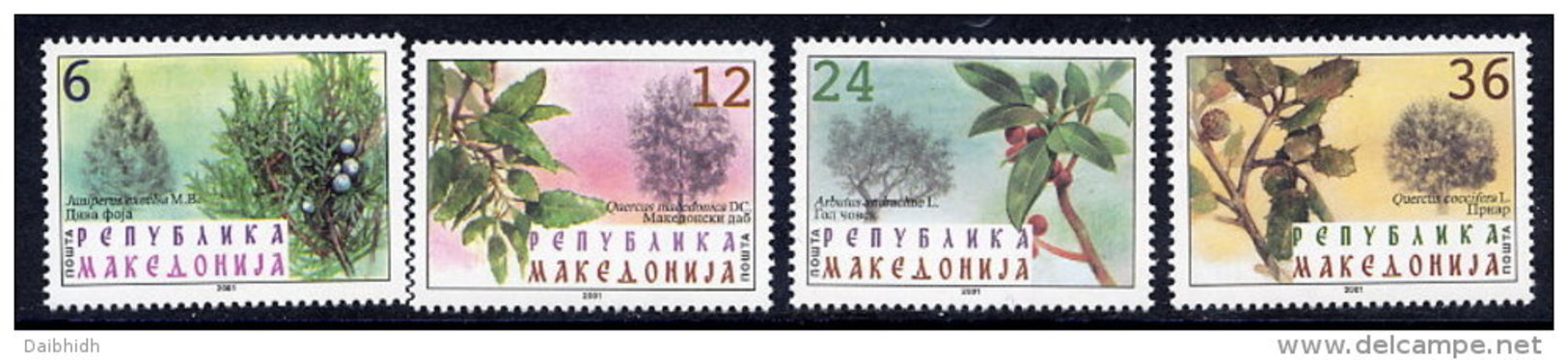 MACEDONIA  2001 Native Trees MNH / **.  Michel 234-37 - Macédoine Du Nord