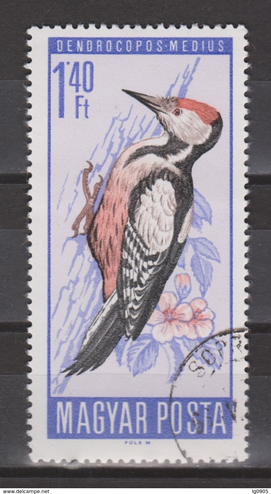 Hongarije, Hungary, Ungarn, Magyar Used ; Specht, Pic, Pico, Woodpecker NOW MANY BIRD STAMPS FOR SALE - Climbing Birds