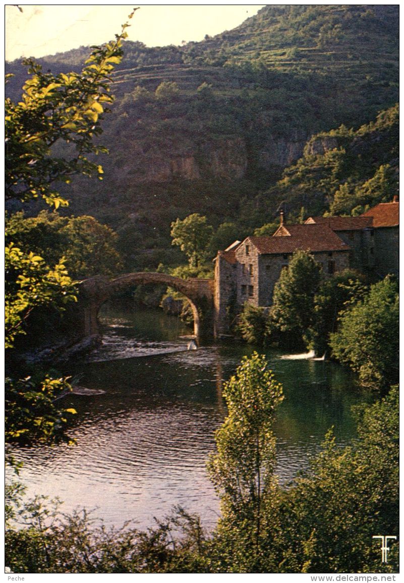 N°54489 GF-cpsm Gorges De La Dourbie -le Moulin De Corps- - Water Mills