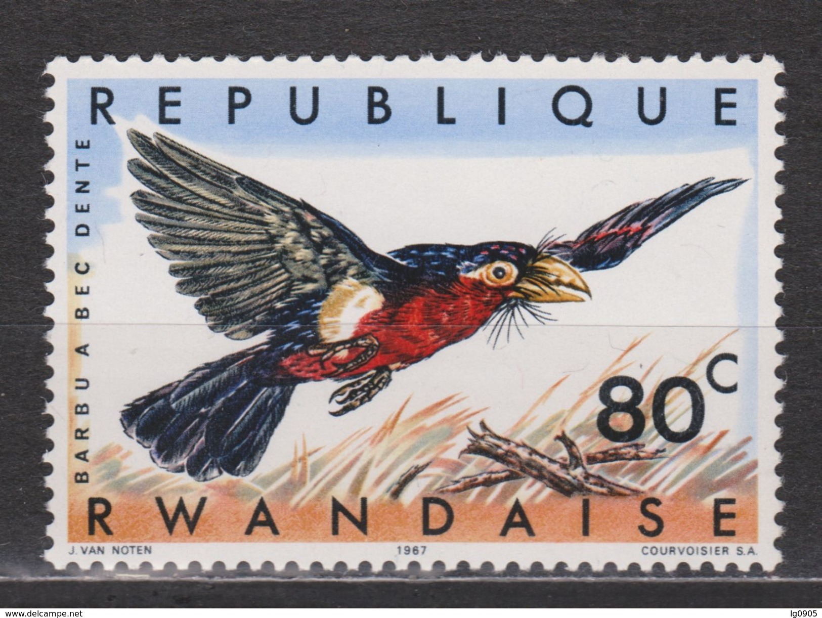 Rwanda MNH ; Zang Vogel Singing Bird Baardvogel Barbet Barbu A Bec Dente NOW MANY BIRS STAMPS FOR SALE - Zangvogels