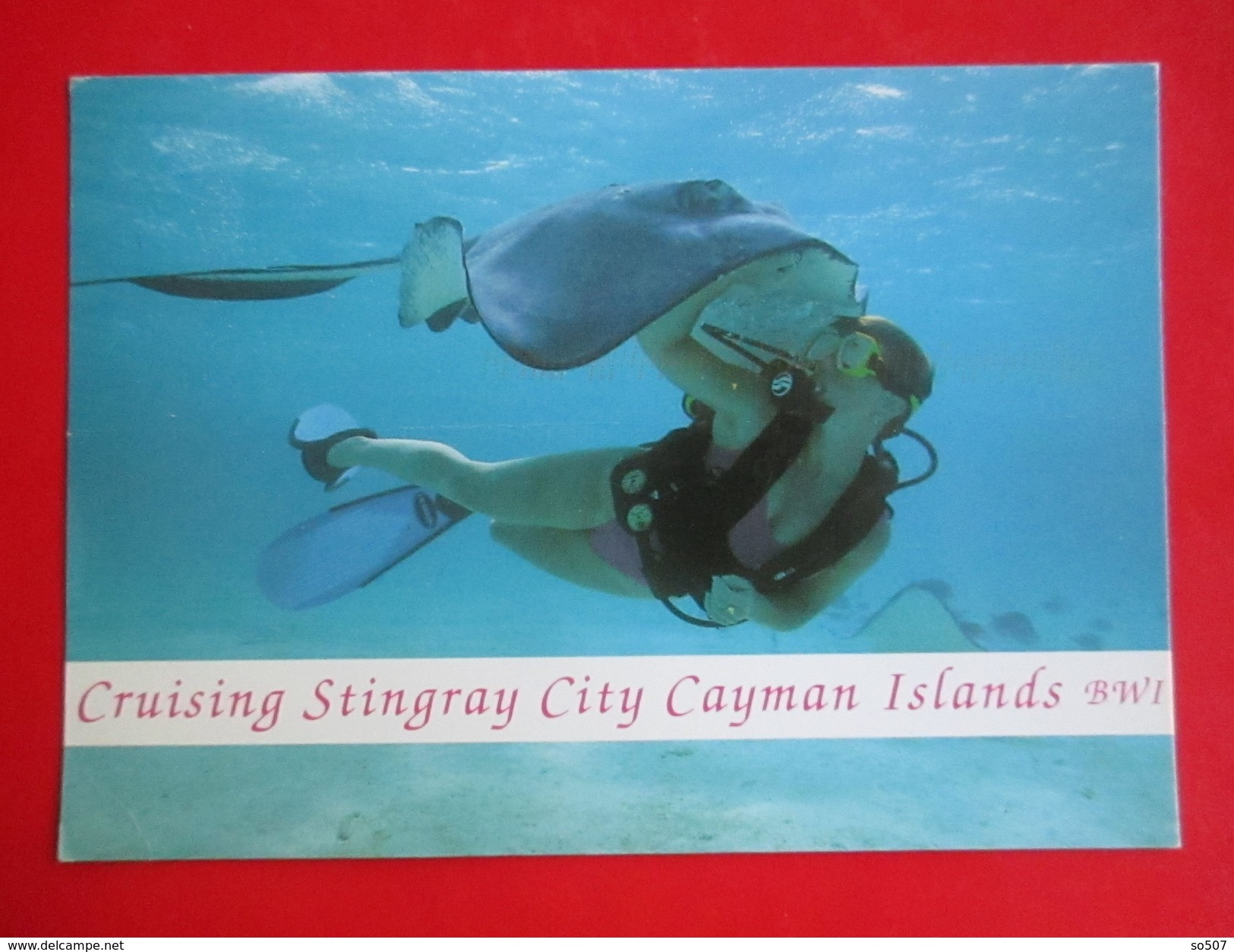 O1- America/USA- Postcard- Stingray City, Cayman Islands, Girl Diver Dive With Giant Devil Ray - Cayman Islands