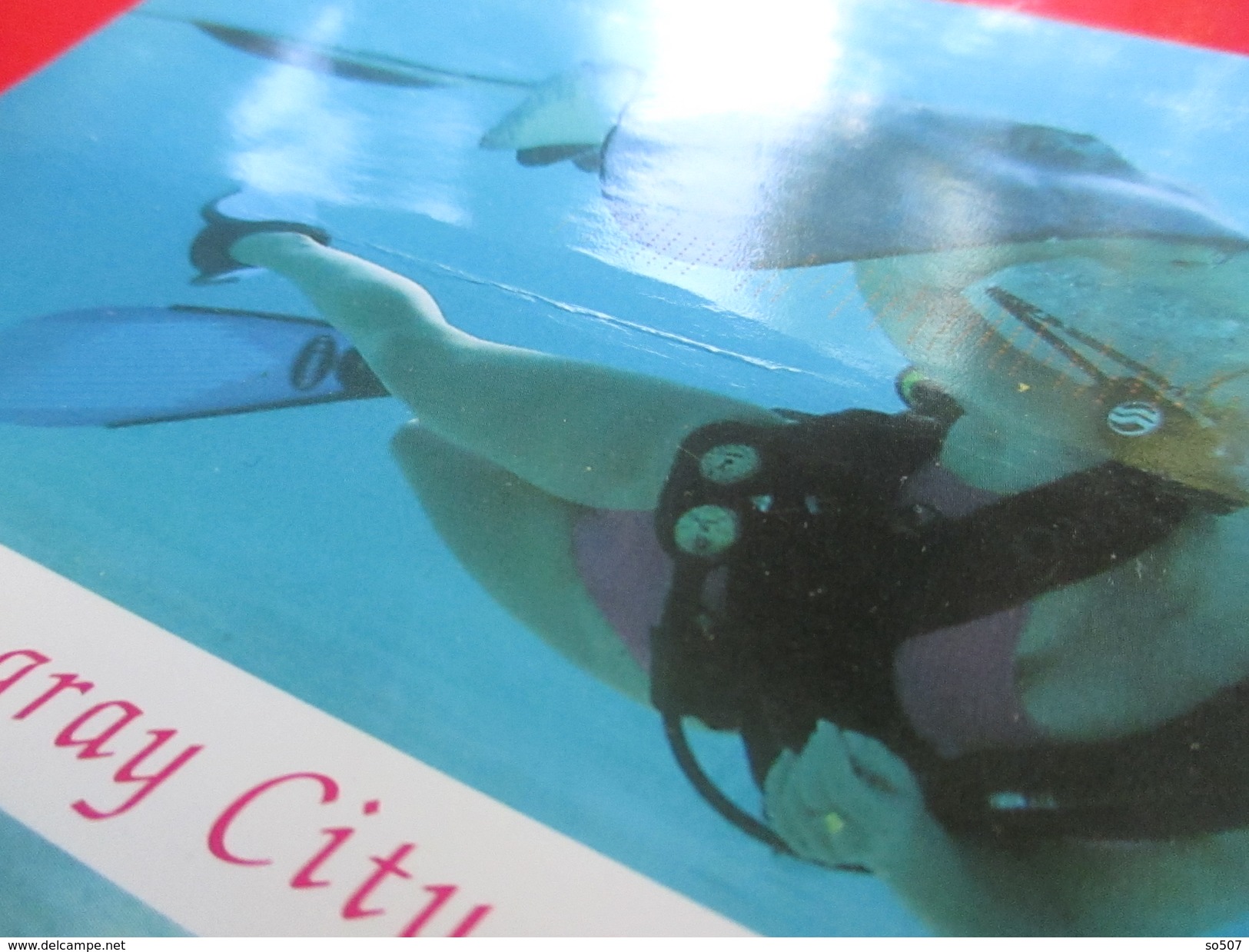 O1- America/USA- Postcard- Stingray City, Cayman Islands, Girl Diver Dive With Giant Devil Ray - Kaaimaneilanden