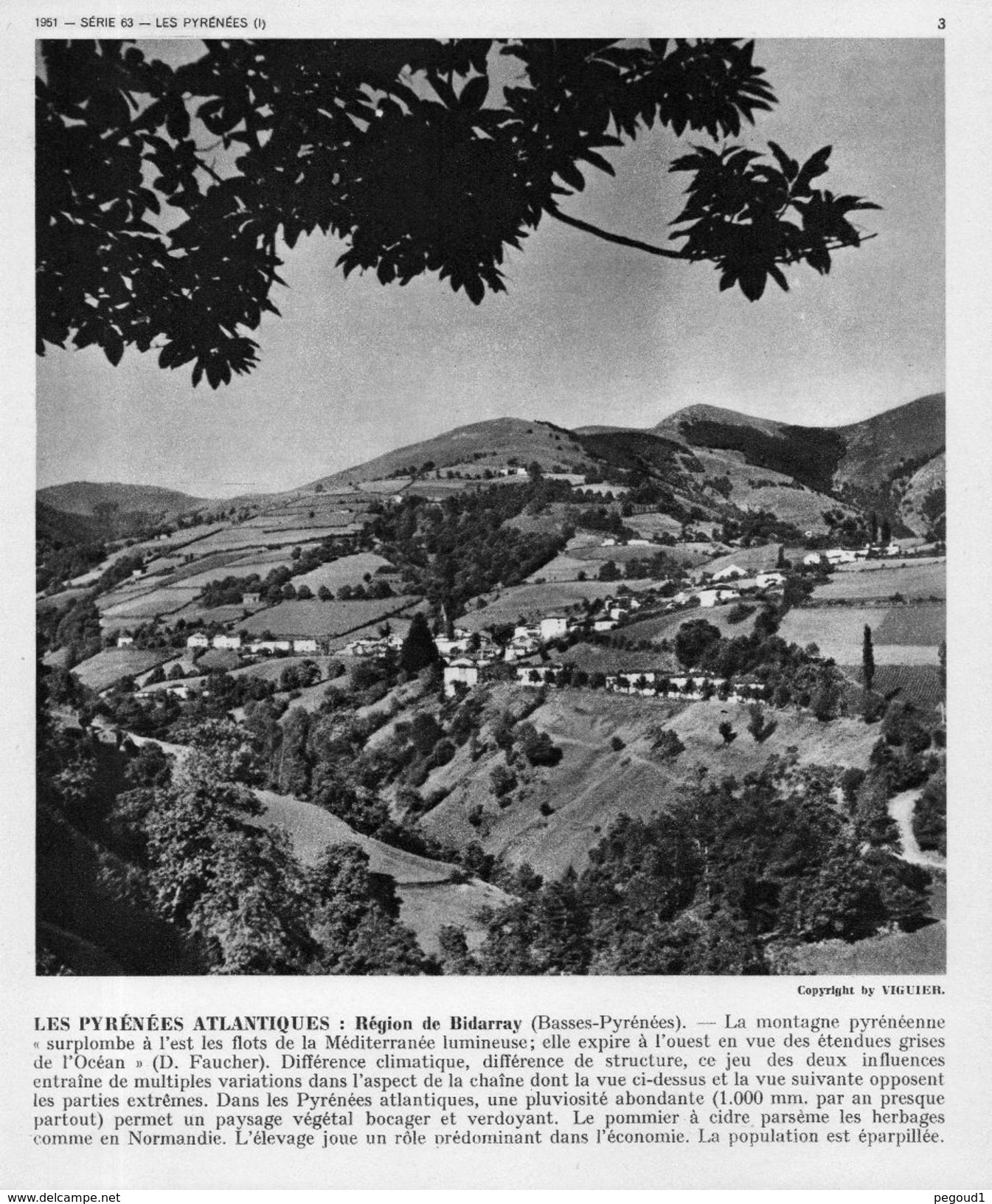 BIDARRAY (Pyr-Atl)  . PHOTO DU VILLAGE. 1951 Achat Immédiat - Bidarray