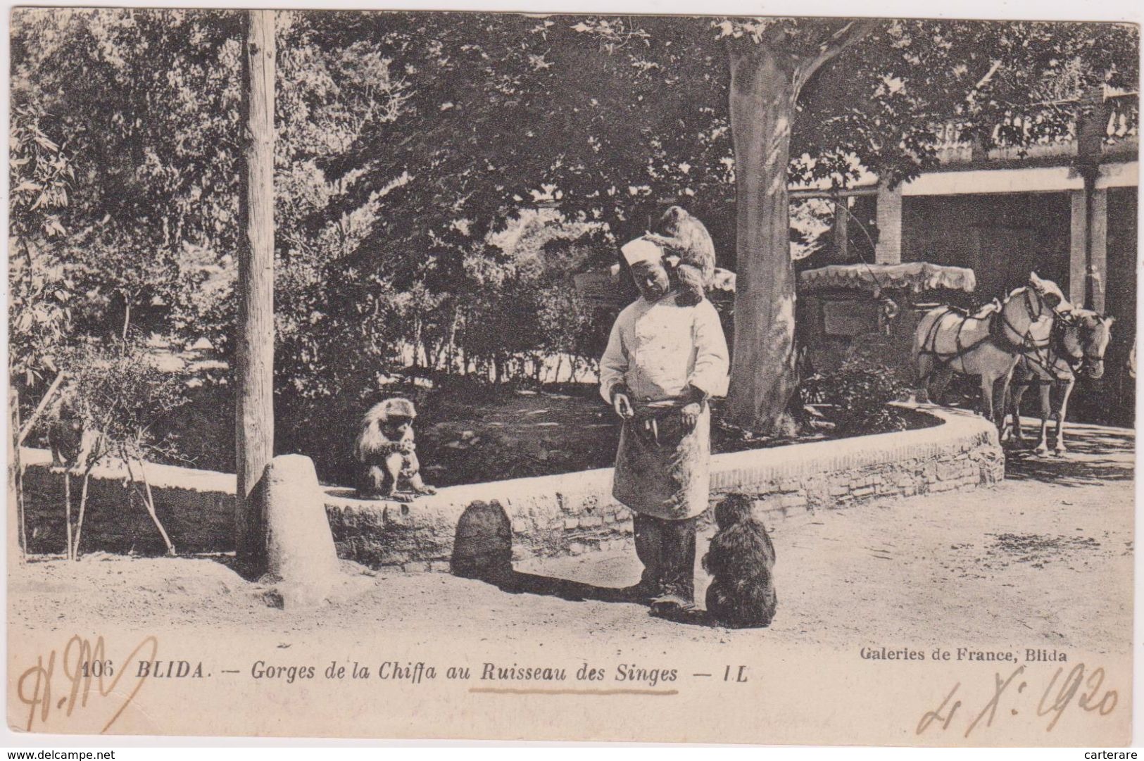 1920,AFRIQUE NORD,Algérie,BLIDA,EL BOULEIDA,dresseur De Singe,georges De La Chiffa Au Ruisseau Des Singes,métier,rare, - Blida